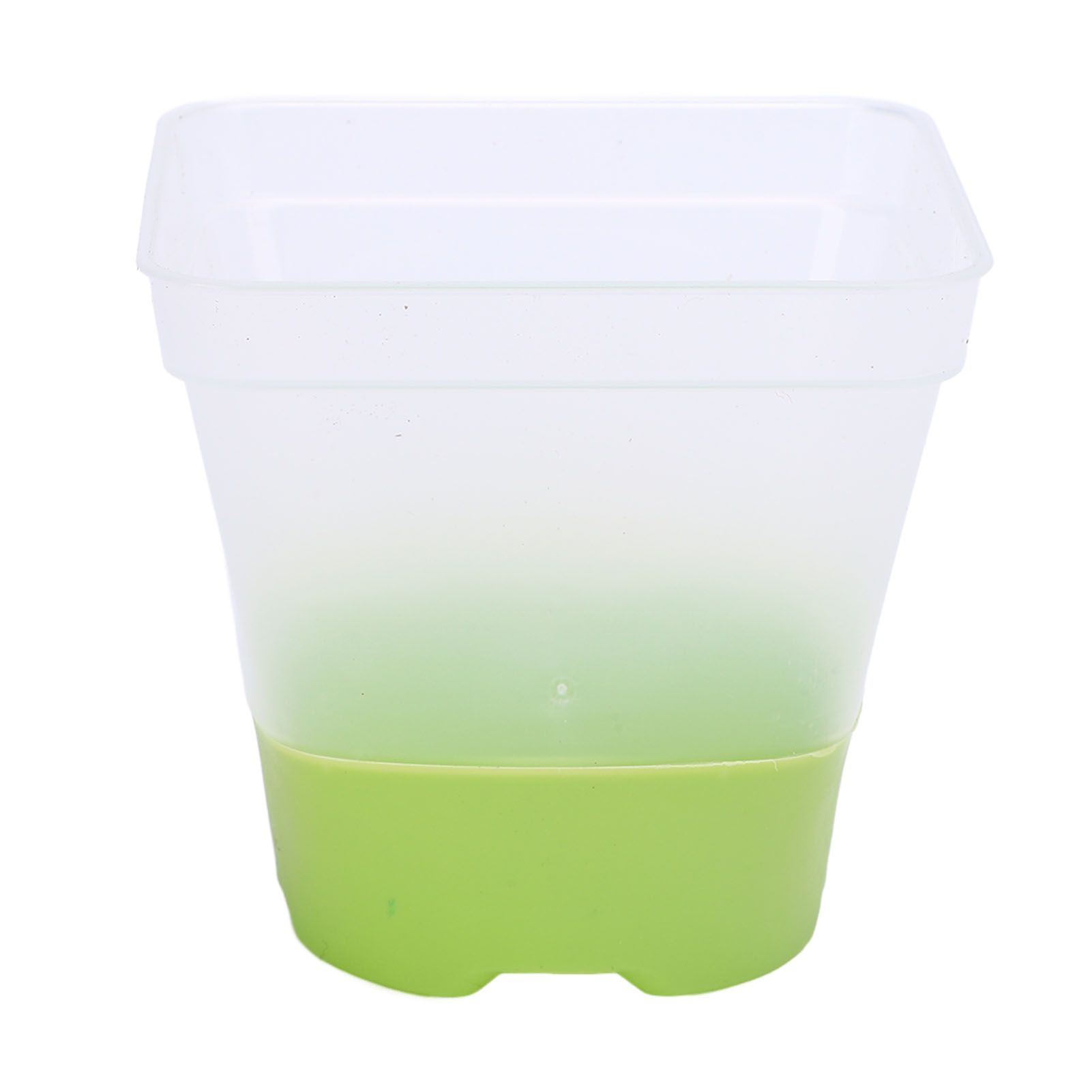 6 Set Clear Nursery Pots with Drainage Holes Silicone Base Lids 3in Plastic view 10