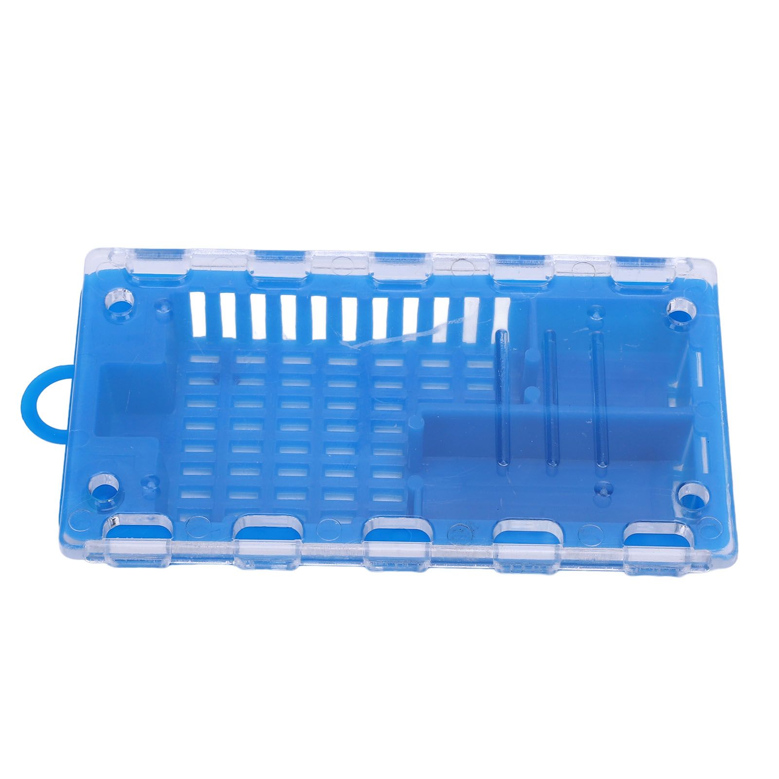 10pcs Queen Bee Cage Plastic Queen Bee Transporting Catcher Beekeeping view 5