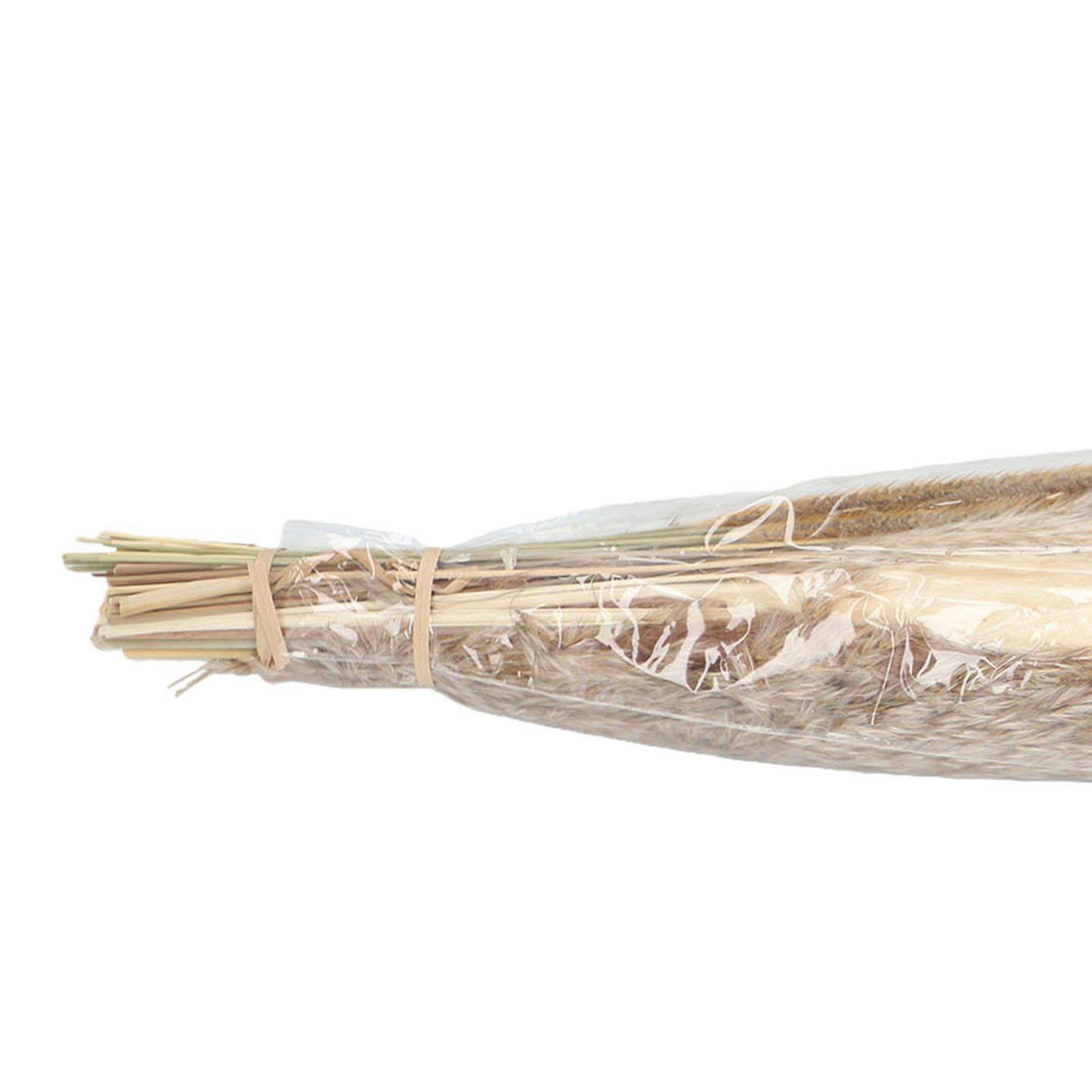 Artificial Pampas Grass Decor Dried Flowers Bouquet for Floor Vase Fillers Type 1 view 5