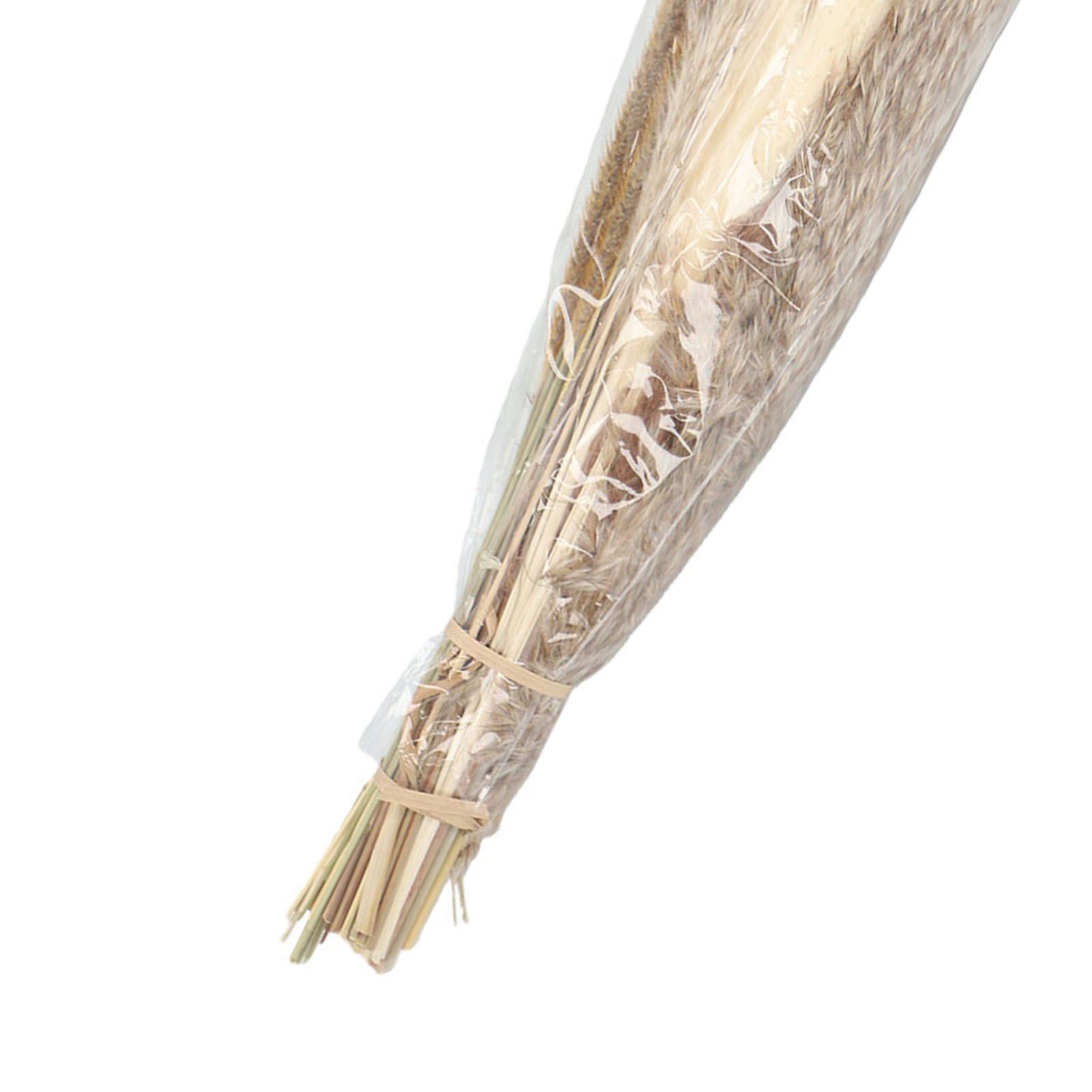 Artificial Pampas Grass Decor Dried Flowers Bouquet for Floor Vase Fillers Type 1 view 7