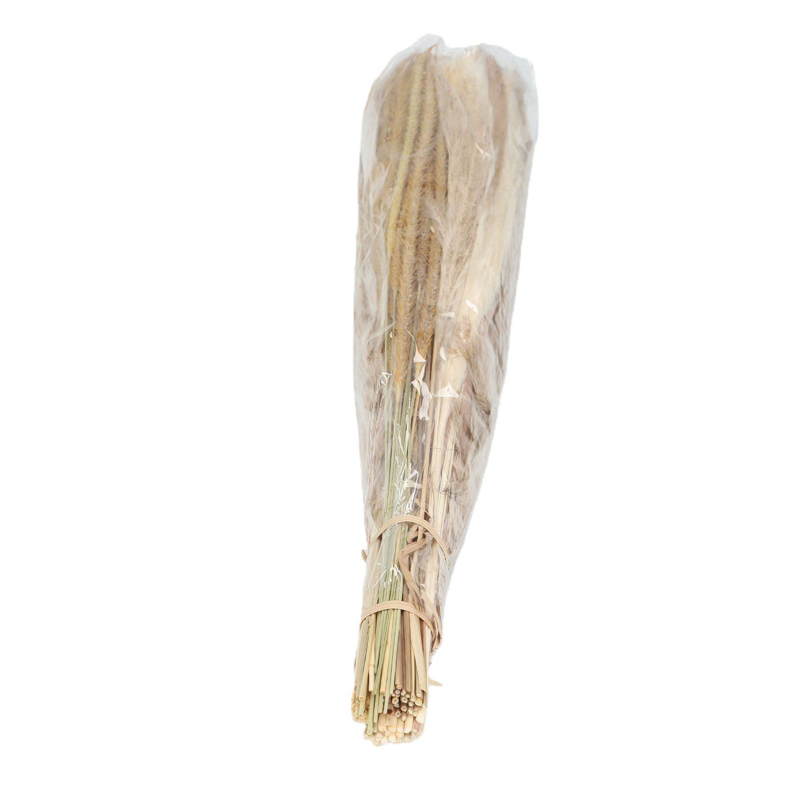 Artificial Pampas Grass Decor Dried Flowers Bouquet for Floor Vase Fillers Type 1 view 11