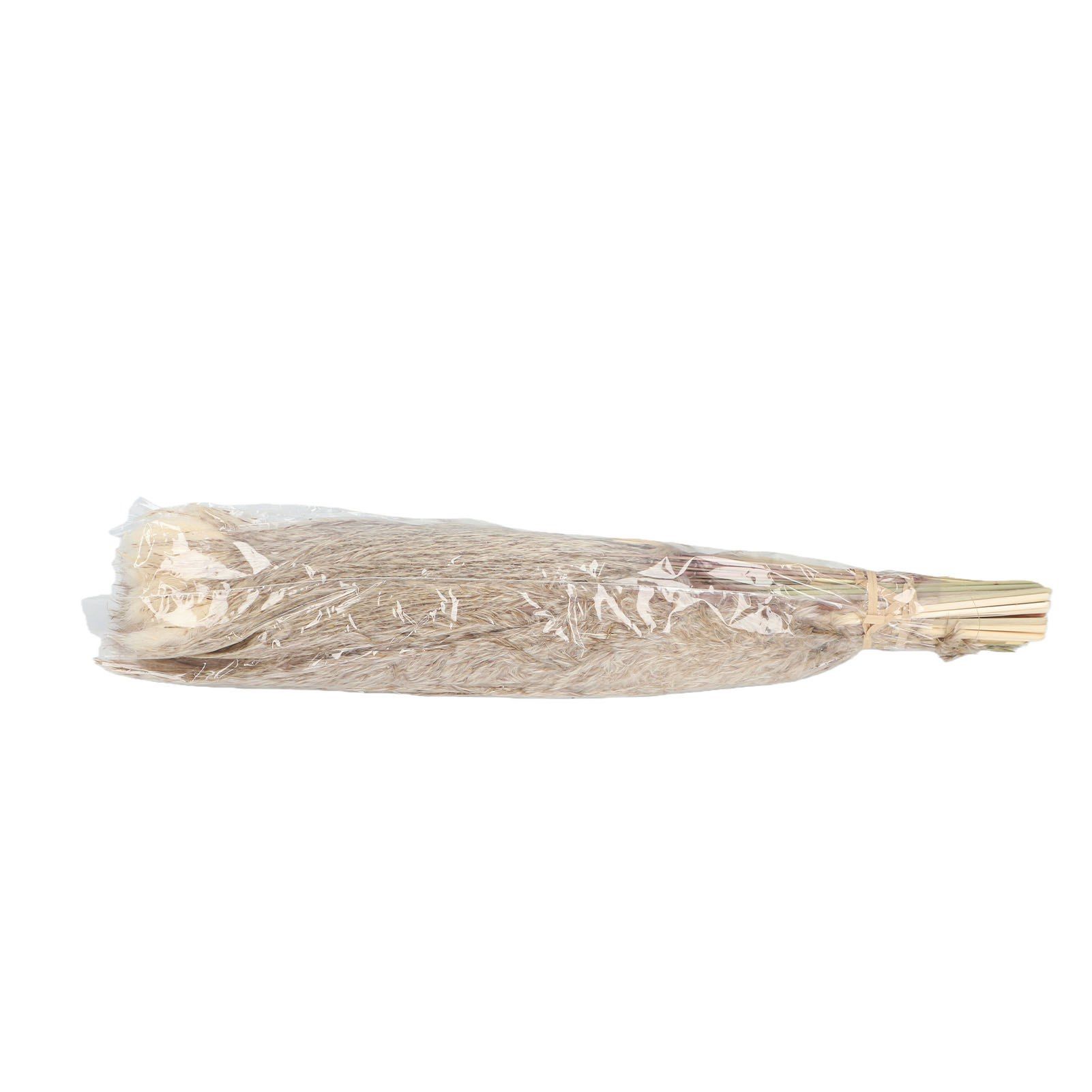 Artificial Pampas Grass Decor Dried Flowers Bouquet for Floor Vase Fillers Type 3 view 12