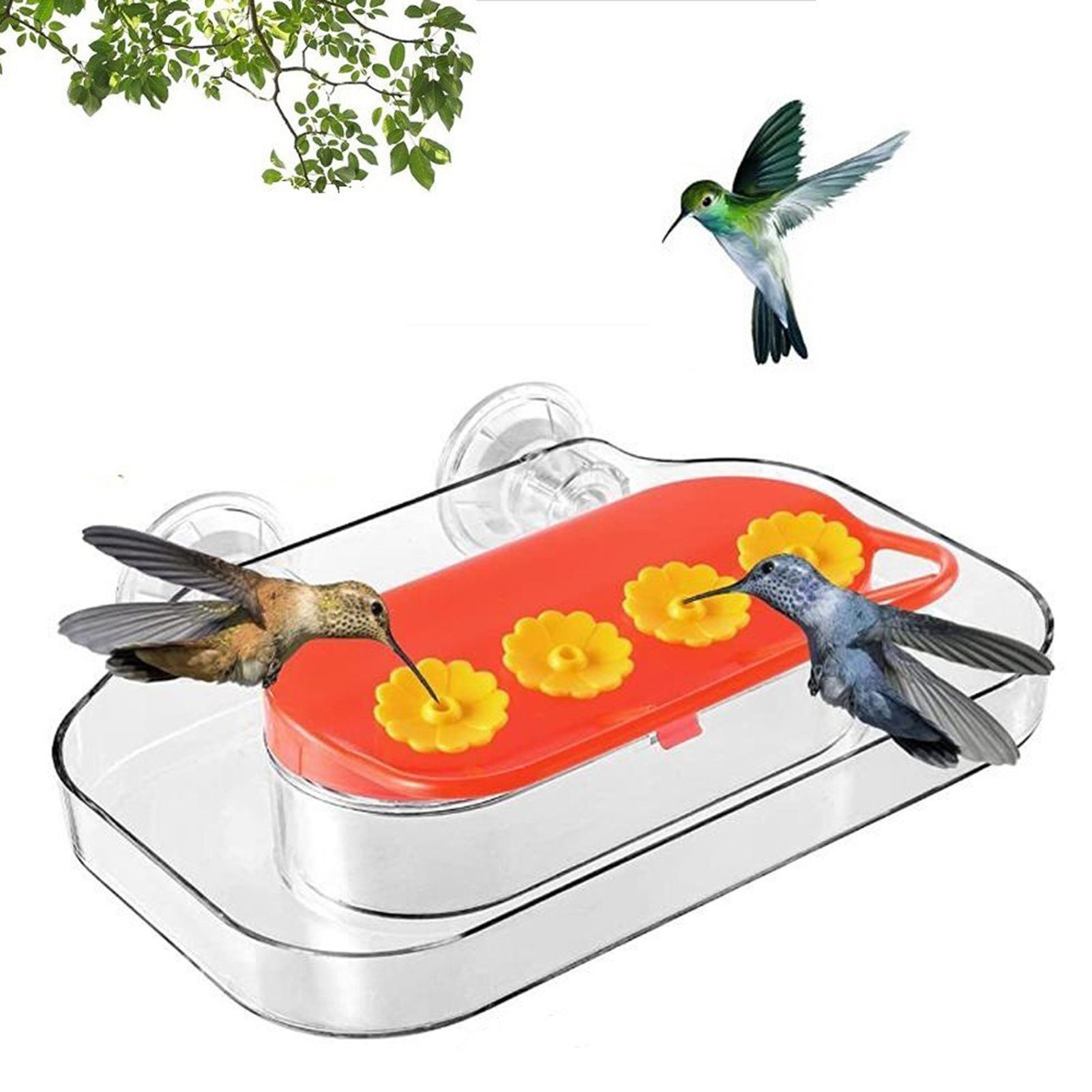 Suction Cup Bird Water Feeder Bird Water Drinker Refillable Window Feeder for view 11
