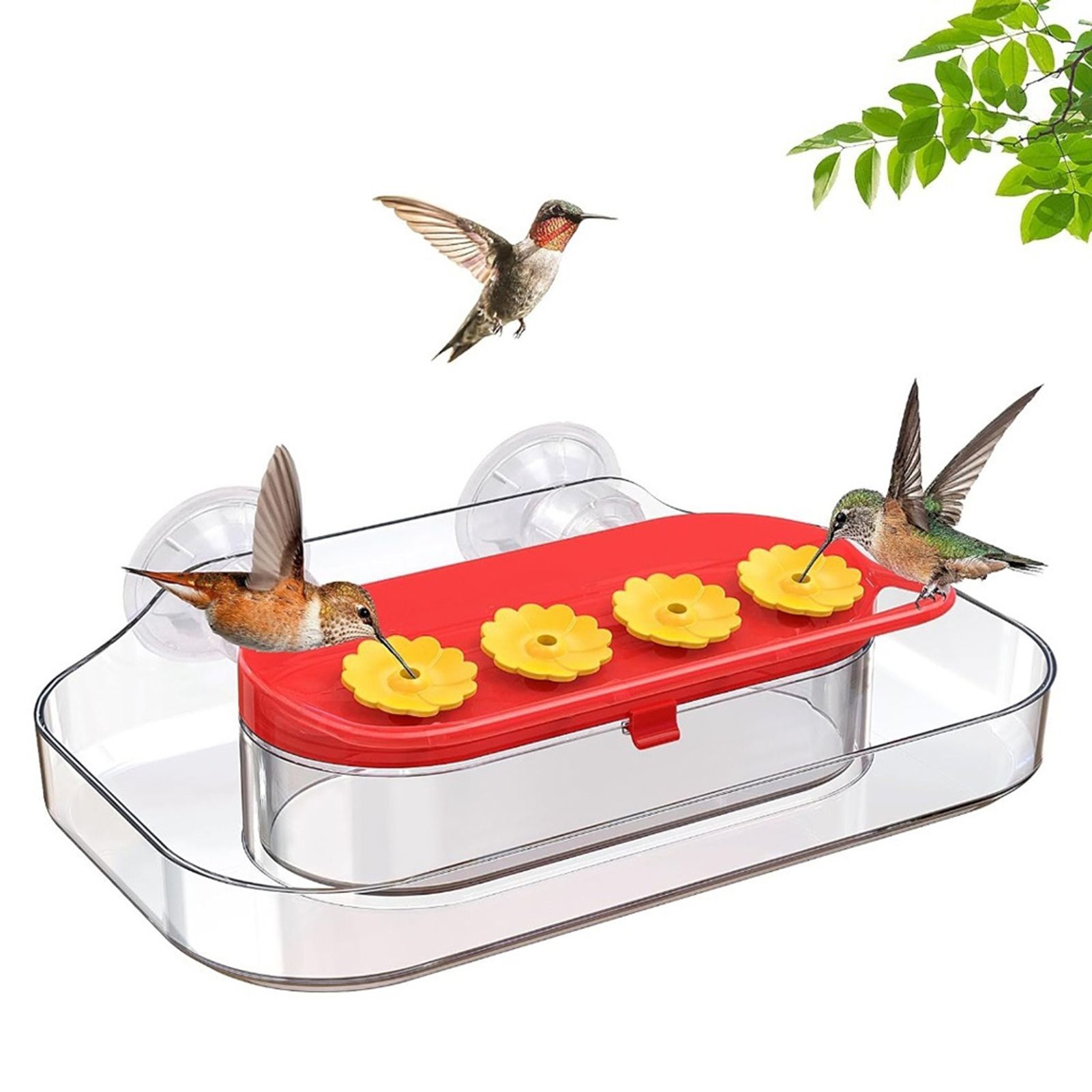 Suction Cup Bird Water Feeder Bird Water Drinker Refillable Window Feeder for view 12