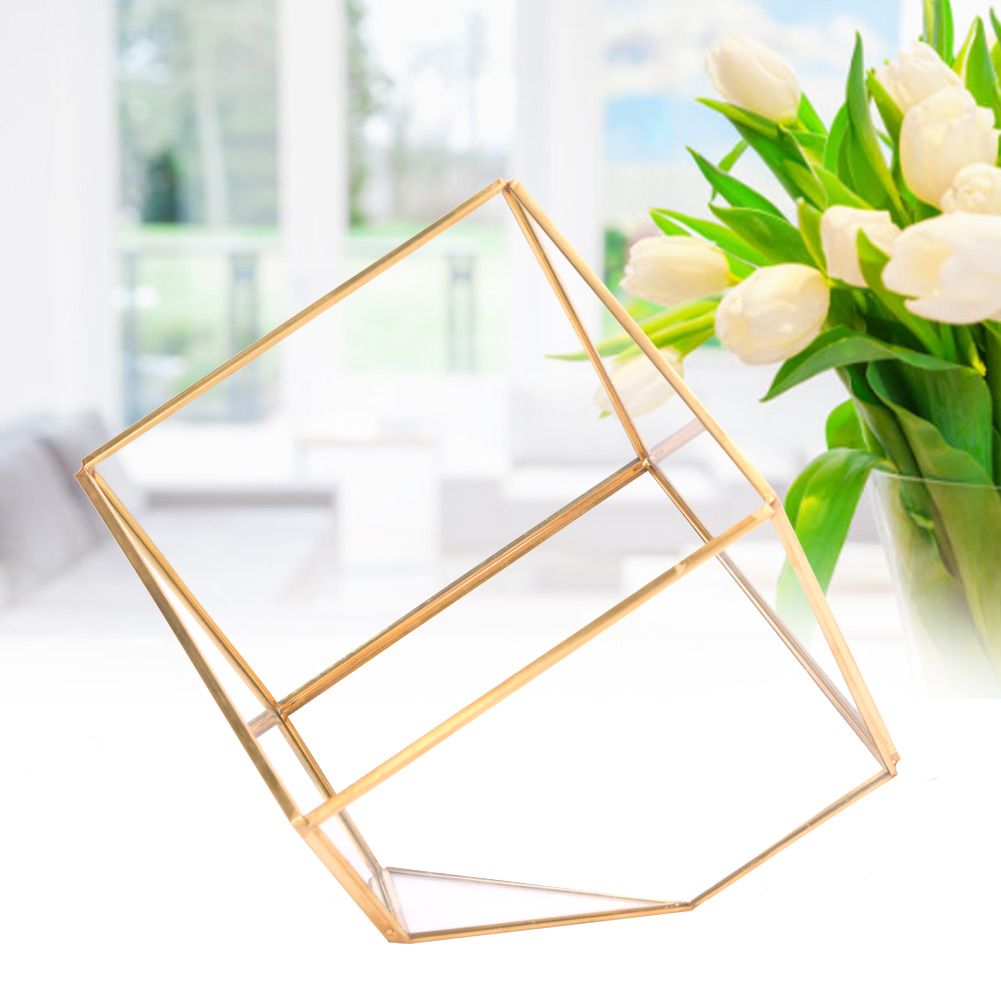 Gold Geometric Shape Succulents Plant Flowerpot Glass Planter Landscape Home view 5