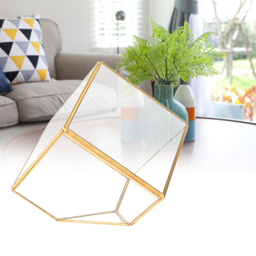 Gold Geometric Shape Succulents Plant Flowerpot Glass Planter Landscape Home view 6