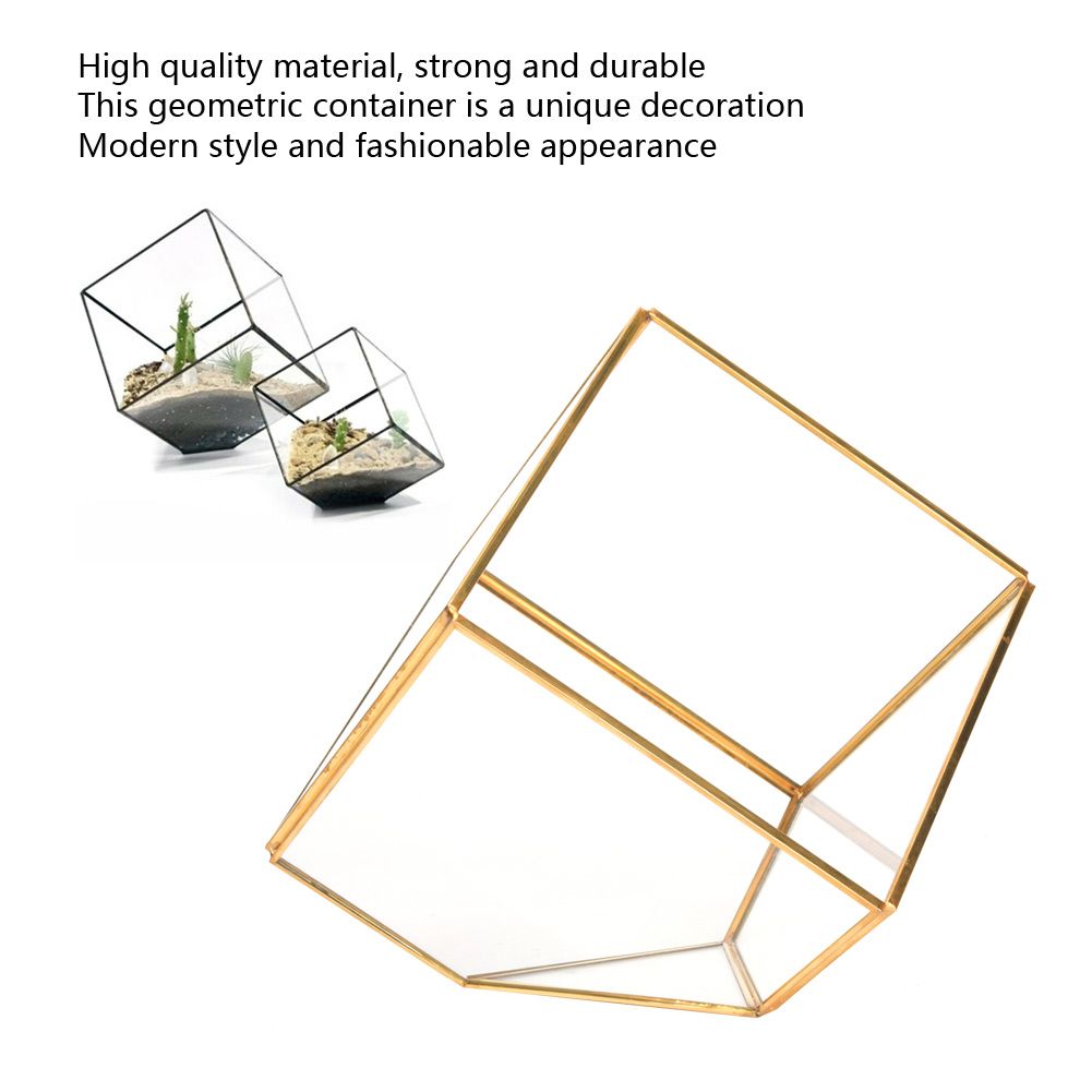 Gold Geometric Shape Succulents Plant Flowerpot Glass Planter Landscape Home view 8