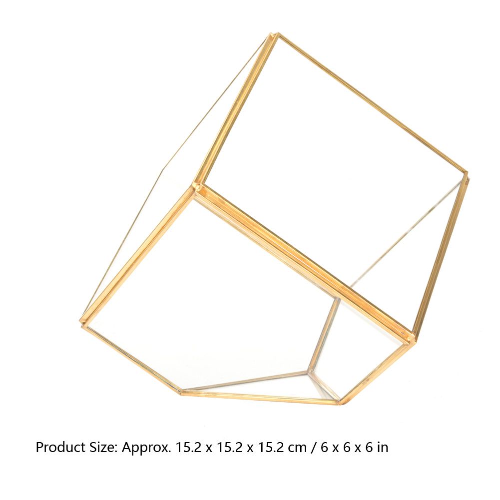 Gold Geometric Shape Succulents Plant Flowerpot Glass Planter Landscape Home view 9