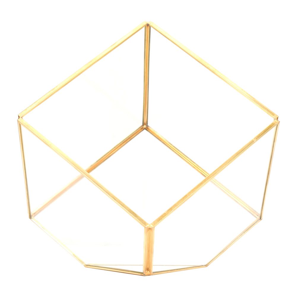 Gold Geometric Shape Succulents Plant Flowerpot Glass Planter Landscape Home view 11