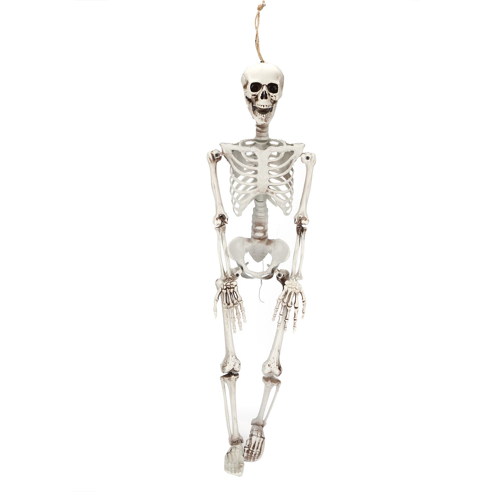 Halloween Resin Full Body Skeletons with Movable Joints for Home Costume Party view 2