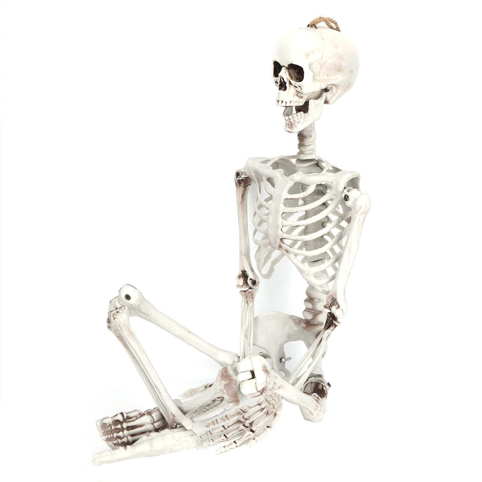 Halloween Resin Full Body Skeletons with Movable Joints for Home Costume Party view 4