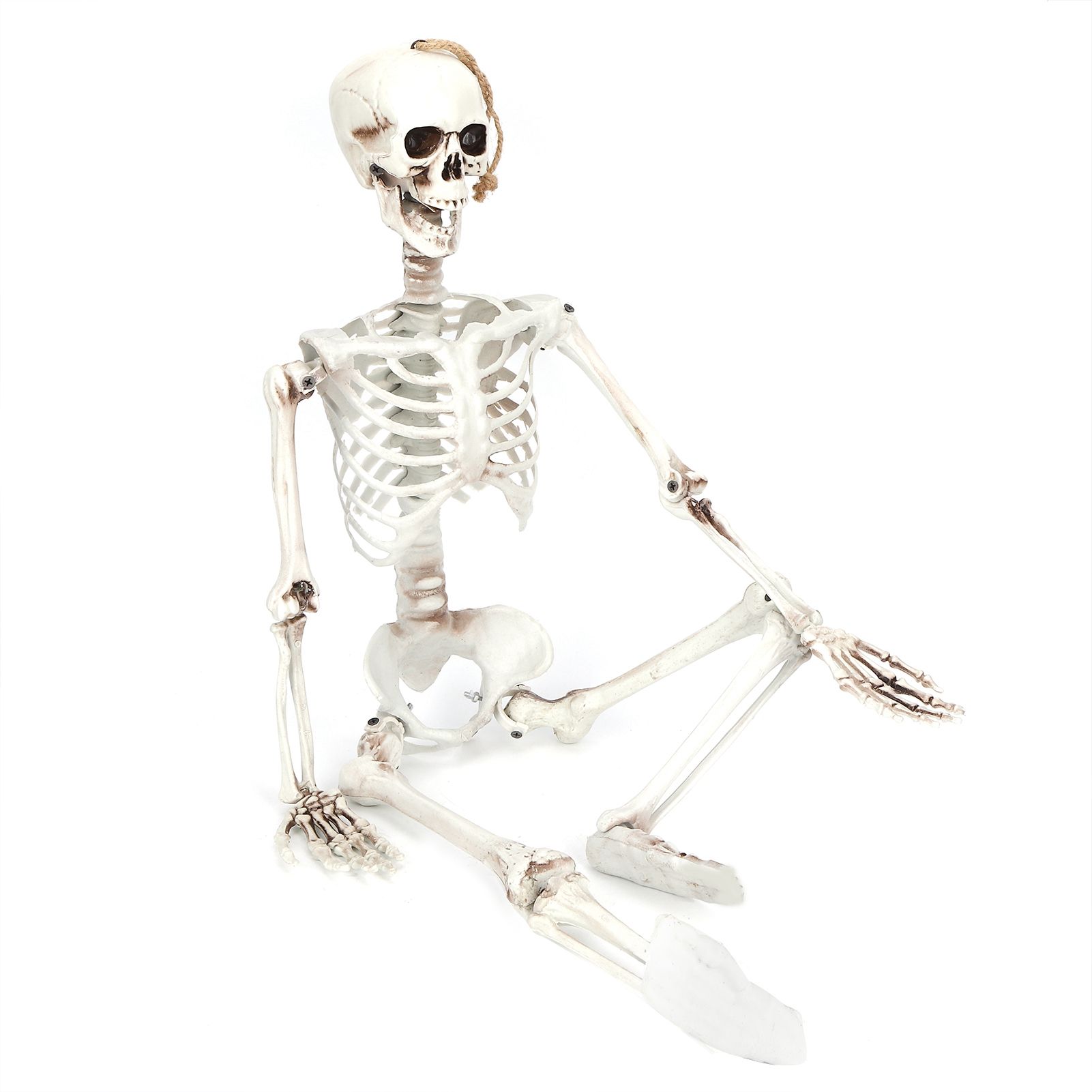 Halloween Resin Full Body Skeletons with Movable Joints for Home Costume Party view 5