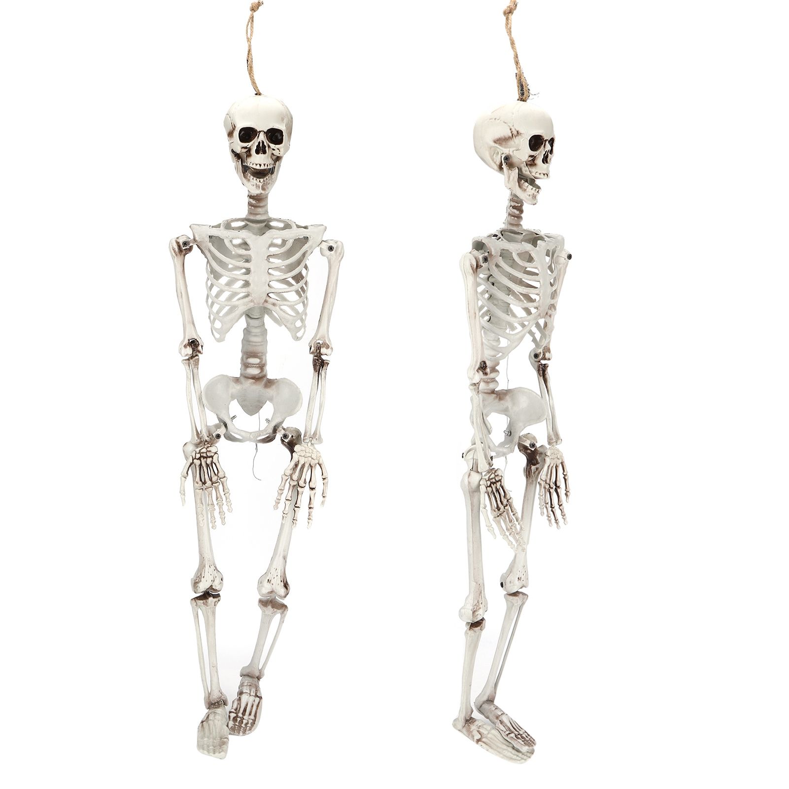 Halloween Resin Full Body Skeletons with Movable Joints for Home Costume Party view 7