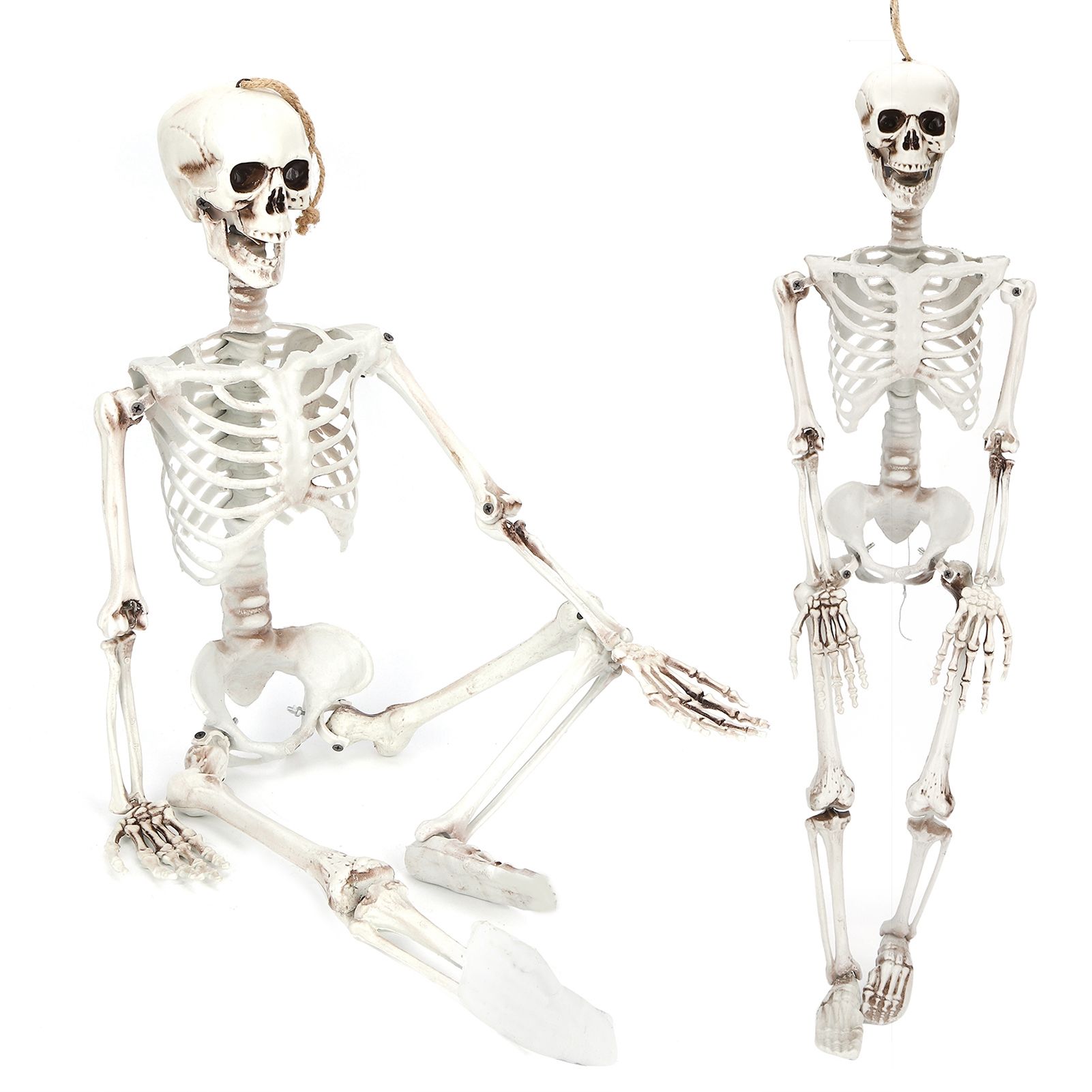 Halloween Resin Full Body Skeletons with Movable Joints for Home Costume Party view 8