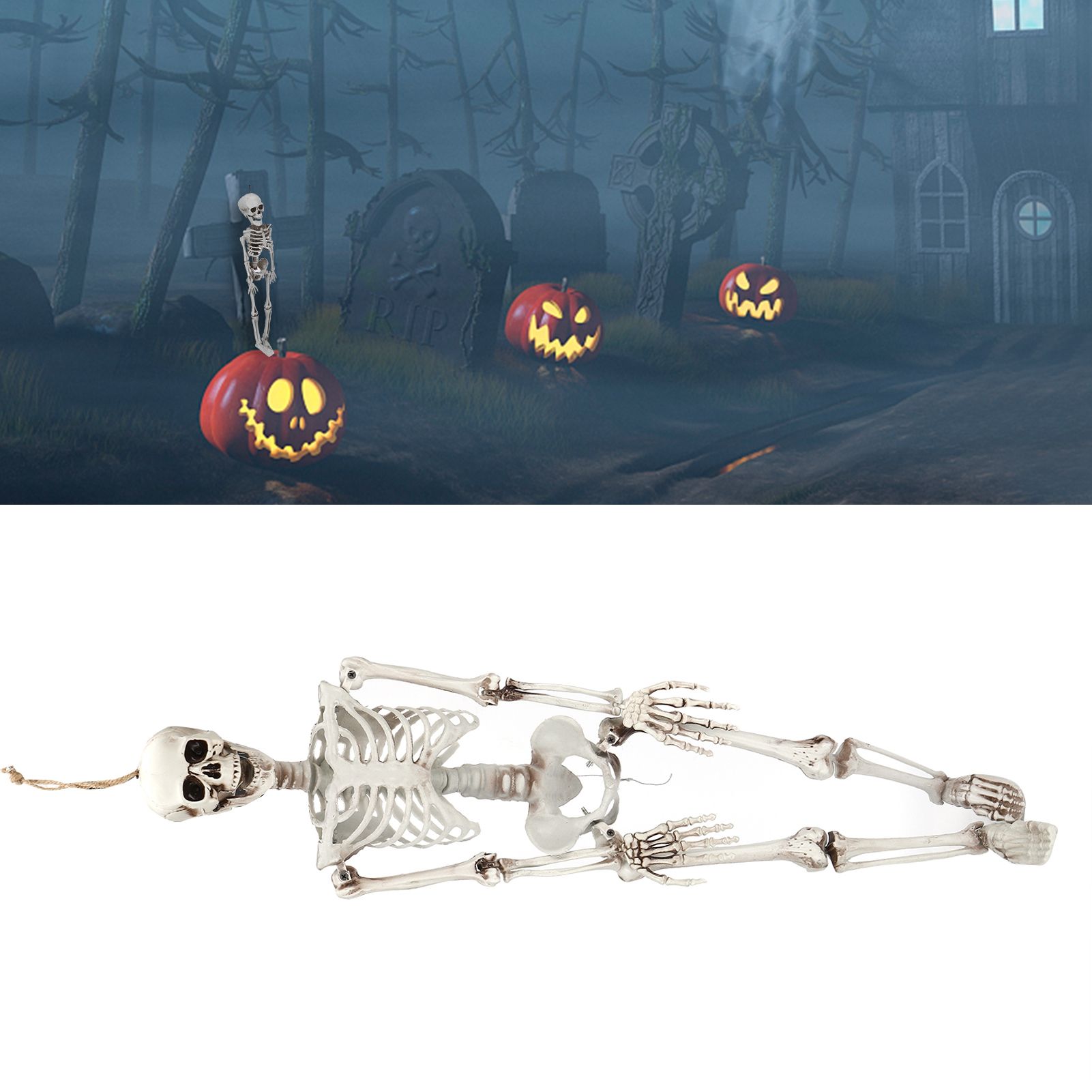 Halloween Resin Full Body Skeletons with Movable Joints for Home Costume Party view 10