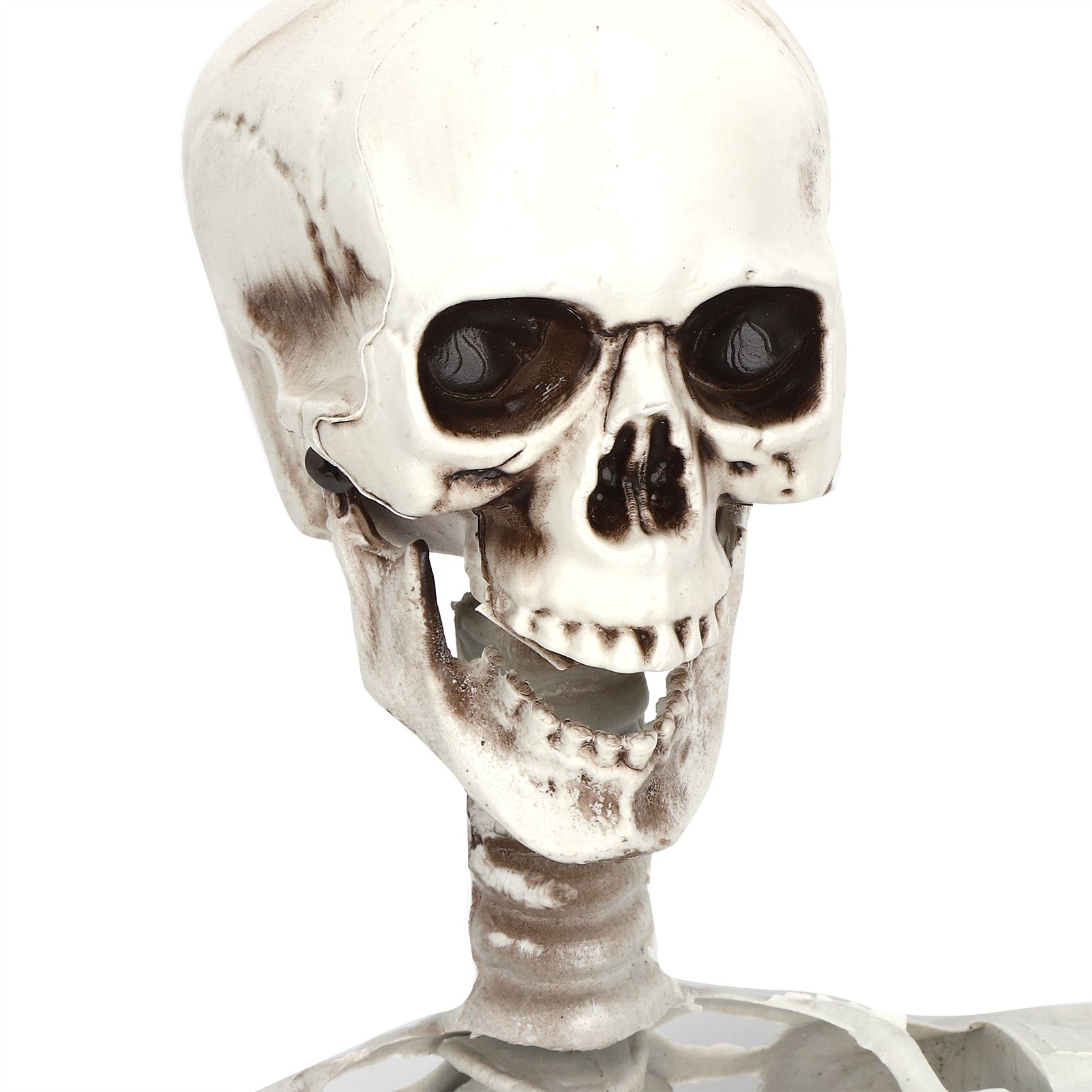 Halloween Resin Full Body Skeletons with Movable Joints for Home Costume Party view 11