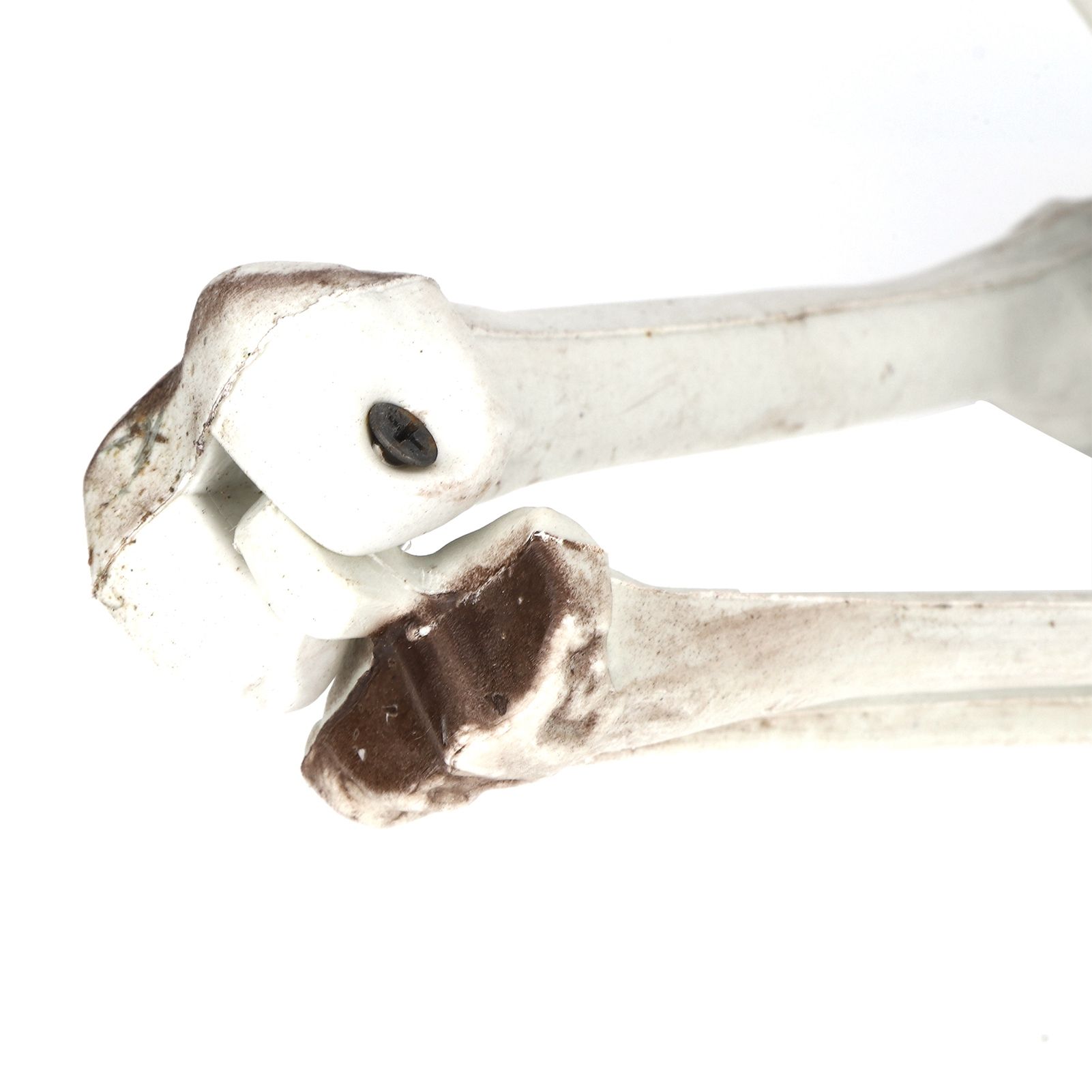 Halloween Resin Full Body Skeletons with Movable Joints for Home Costume Party view 12