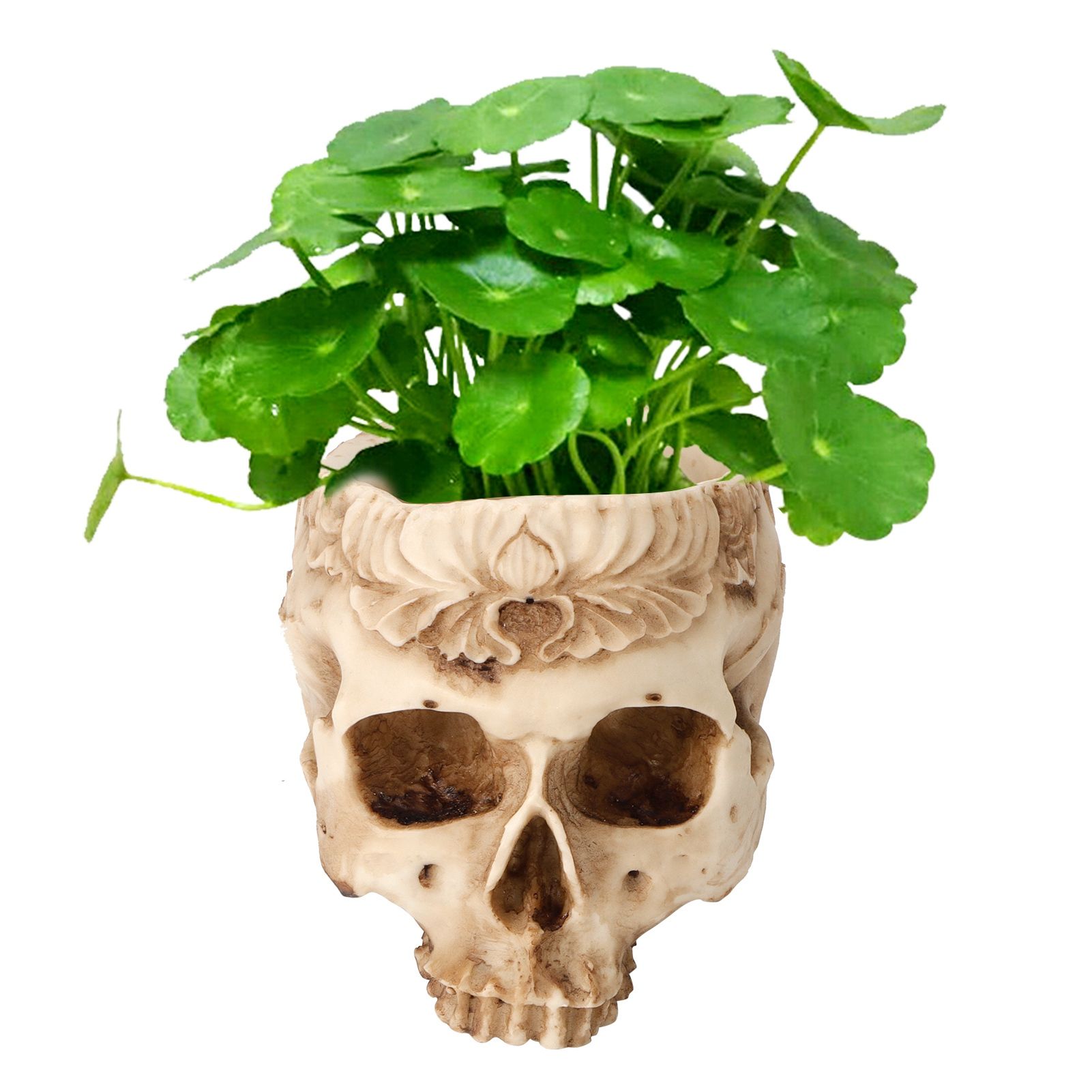 Skull Flower Pot Planters Resin Craftworks Personalized Home Furnishings Bar view 9