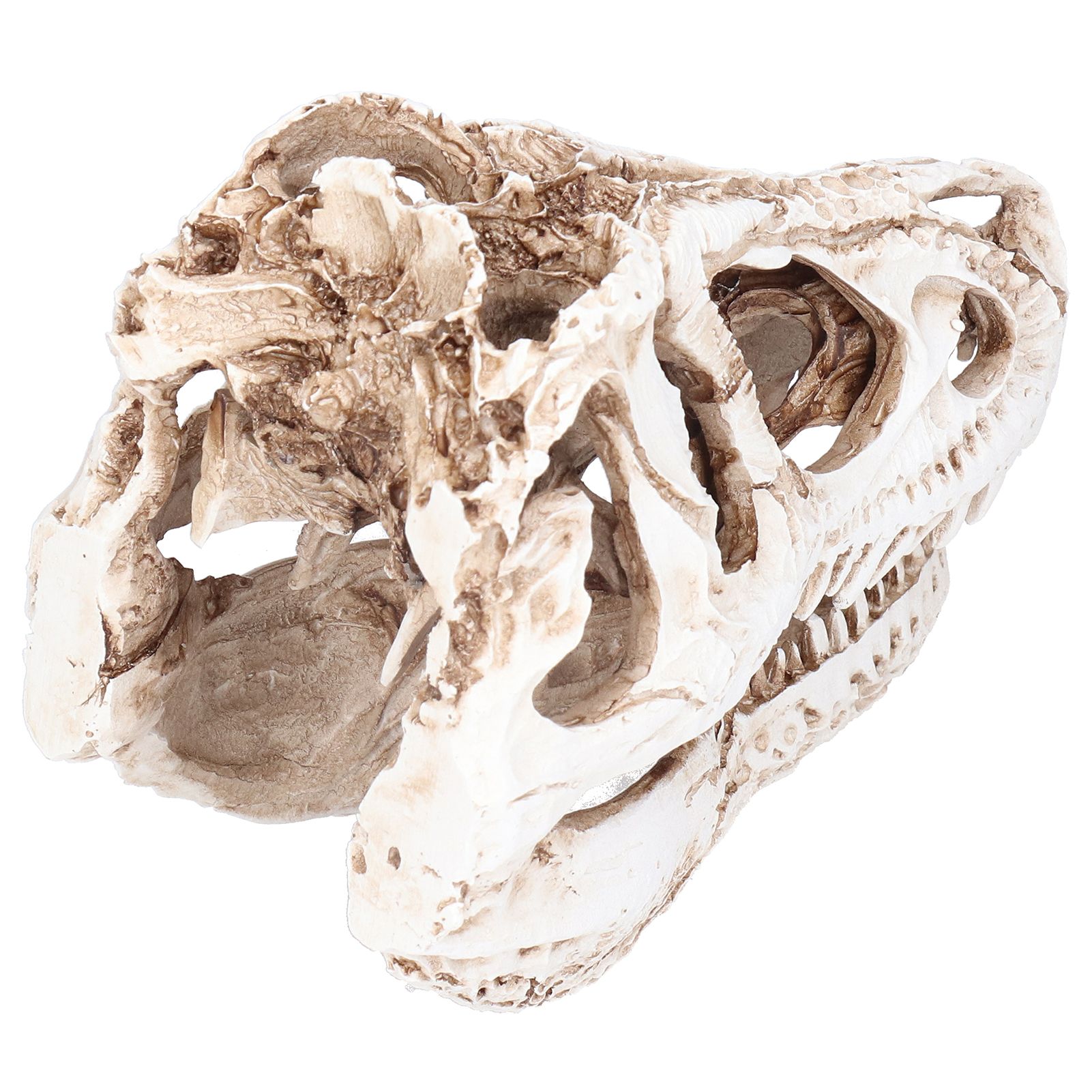 Resin Dinosaur Skull Ornament Decorative Supplies for Christmas Holidays Bars view 3