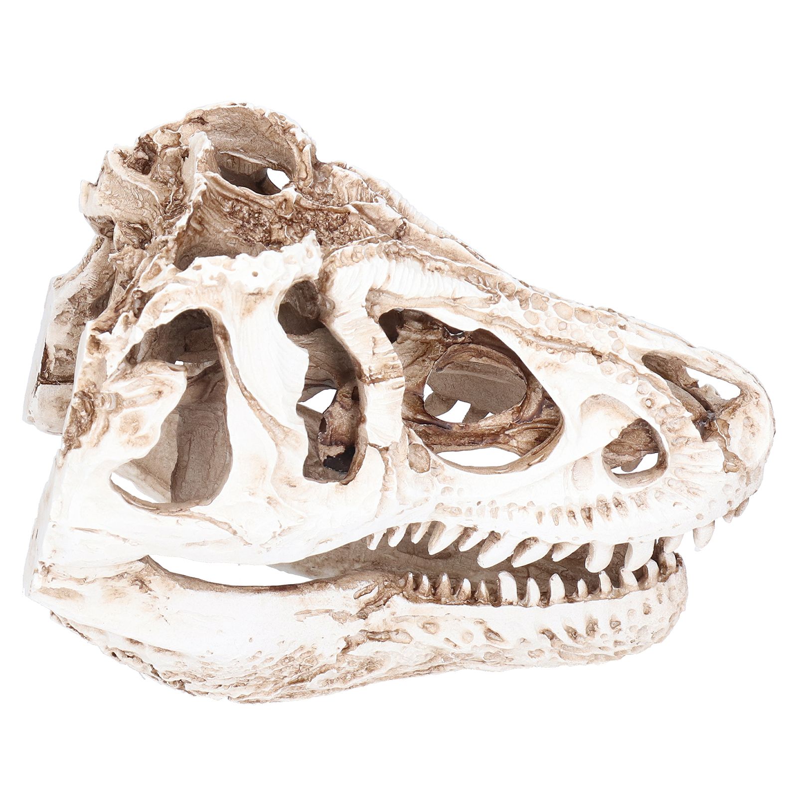 Resin Dinosaur Skull Ornament Decorative Supplies for Christmas Holidays Bars view 4