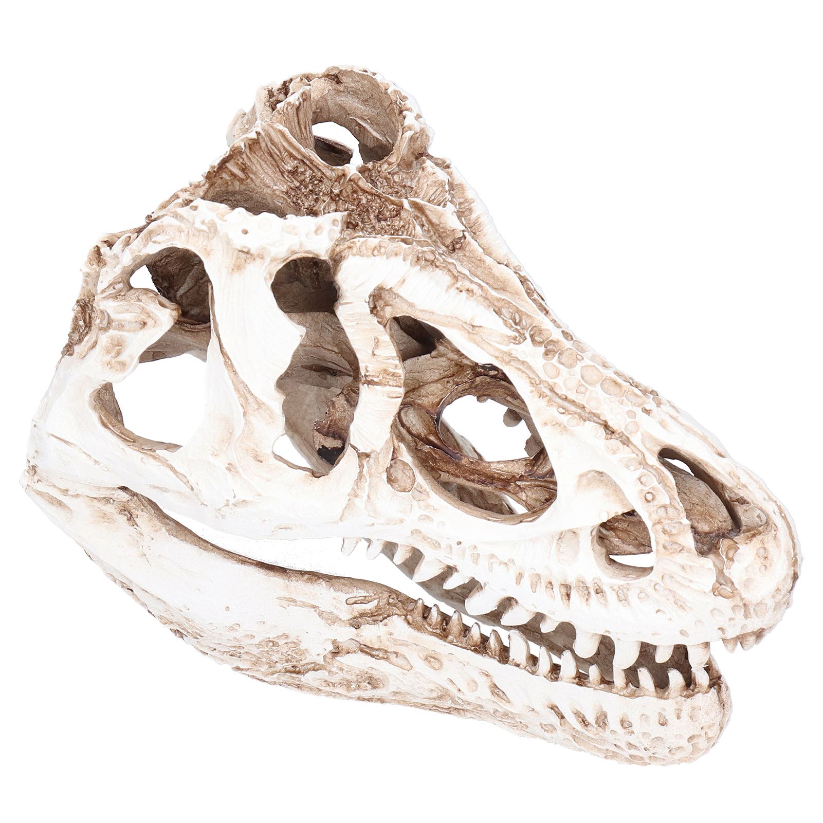 Resin Dinosaur Skull Ornament Decorative Supplies for Christmas Holidays Bars view 5