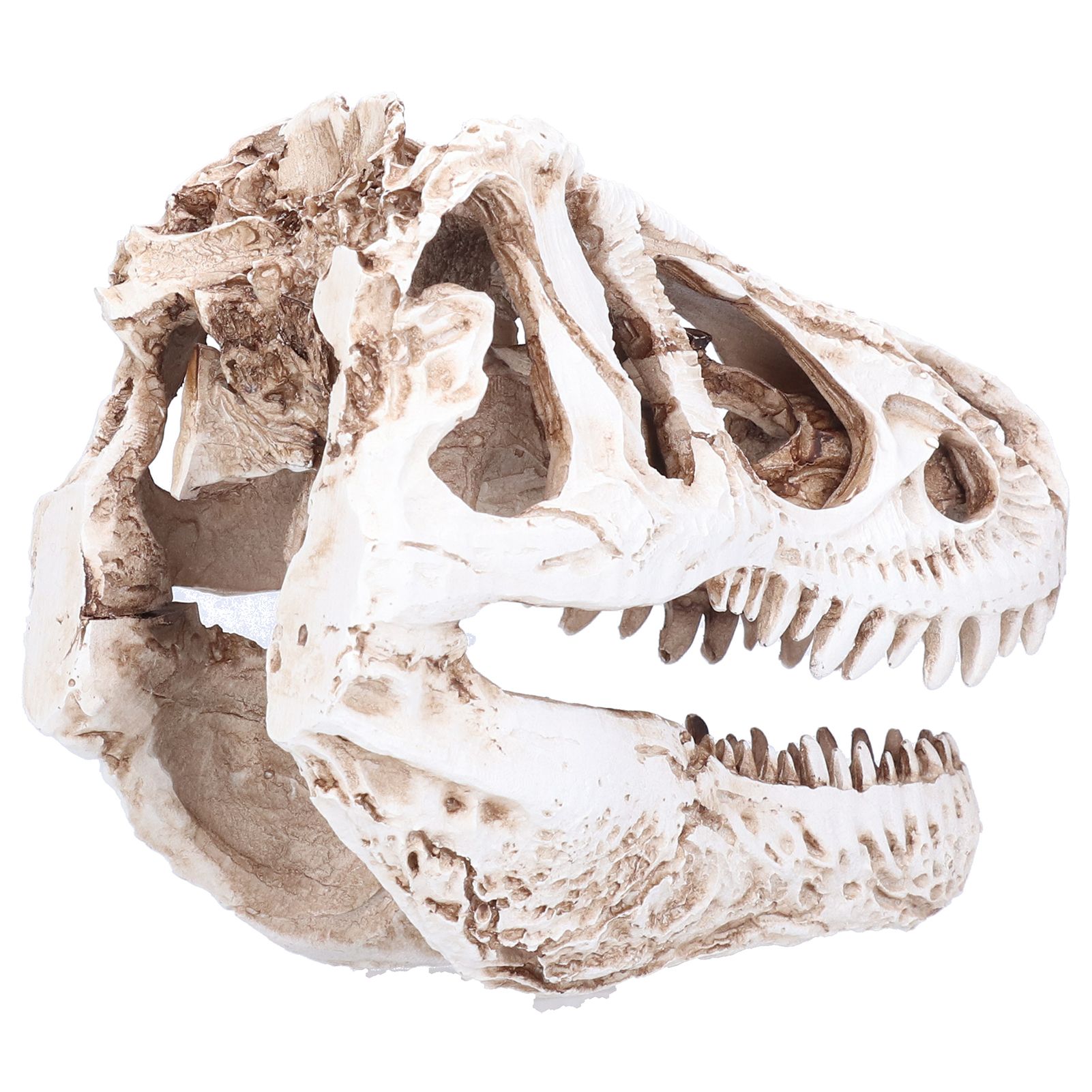 Resin Dinosaur Skull Ornament Decorative Supplies for Christmas Holidays Bars view 8