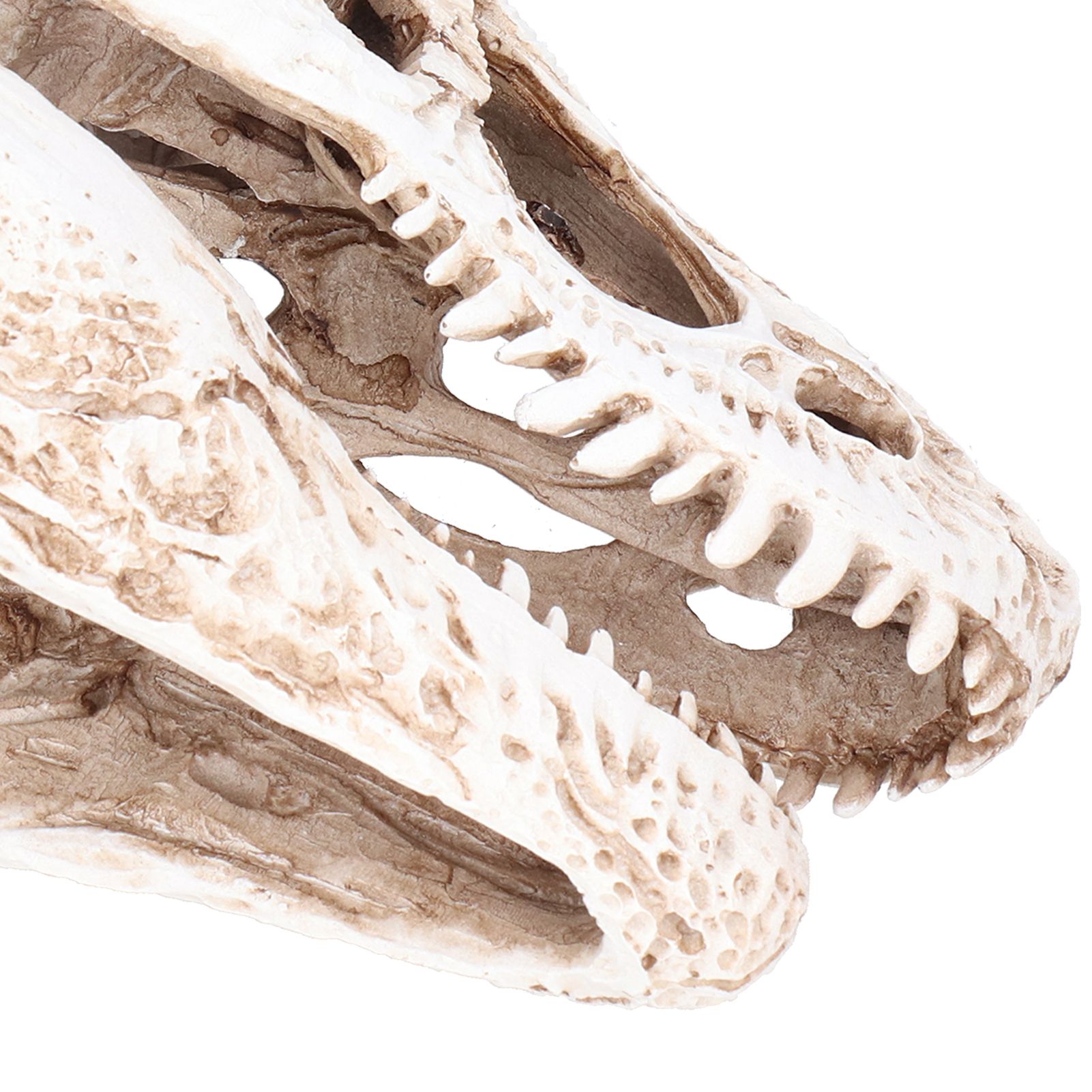 Resin Dinosaur Skull Ornament Decorative Supplies for Christmas Holidays Bars view 11