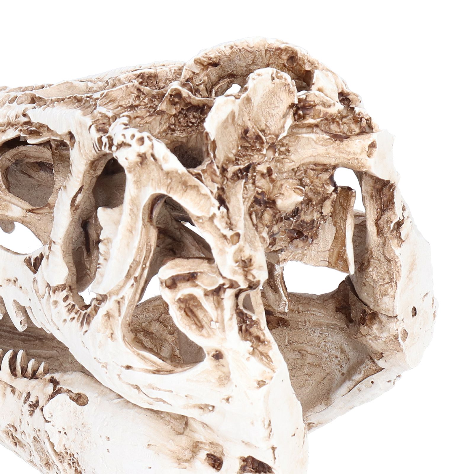 Resin Dinosaur Skull Ornament Decorative Supplies for Christmas Holidays Bars view 12