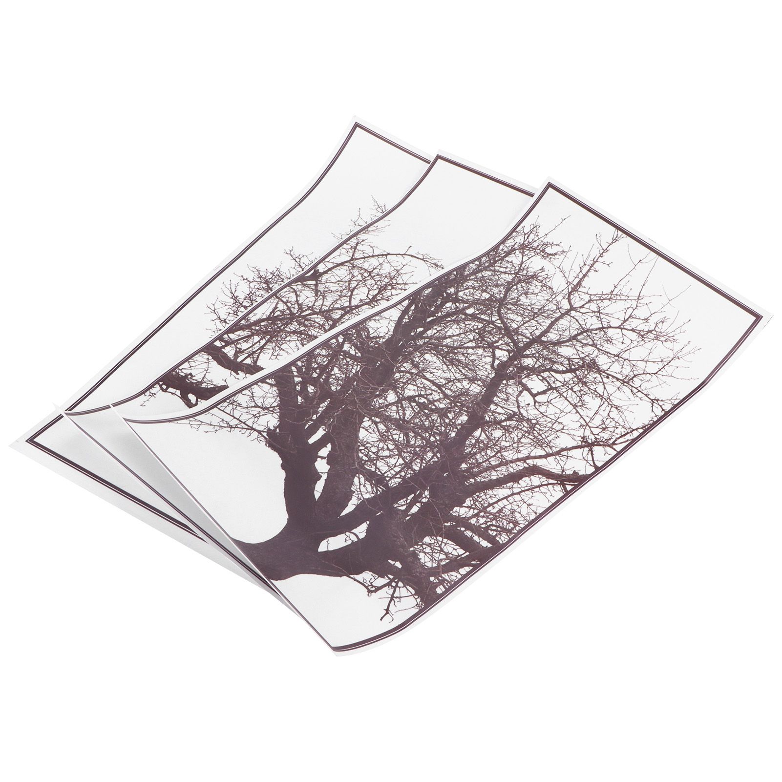 Decorative Stickers Nordic Style Gray Tree Wall Art Decals Home Background view 3