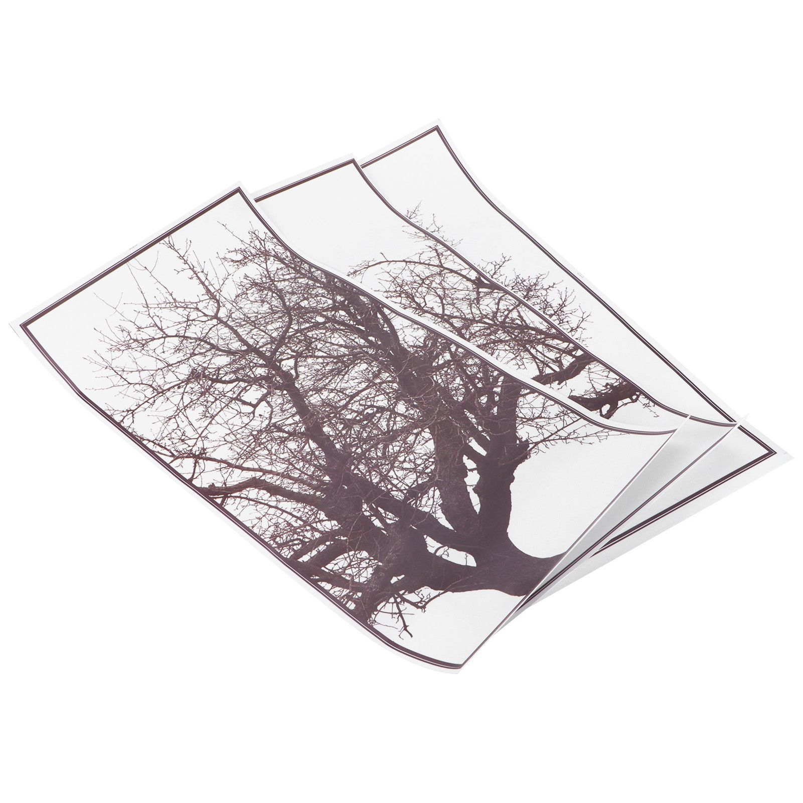 Decorative Stickers Nordic Style Gray Tree Wall Art Decals Home Background view 9