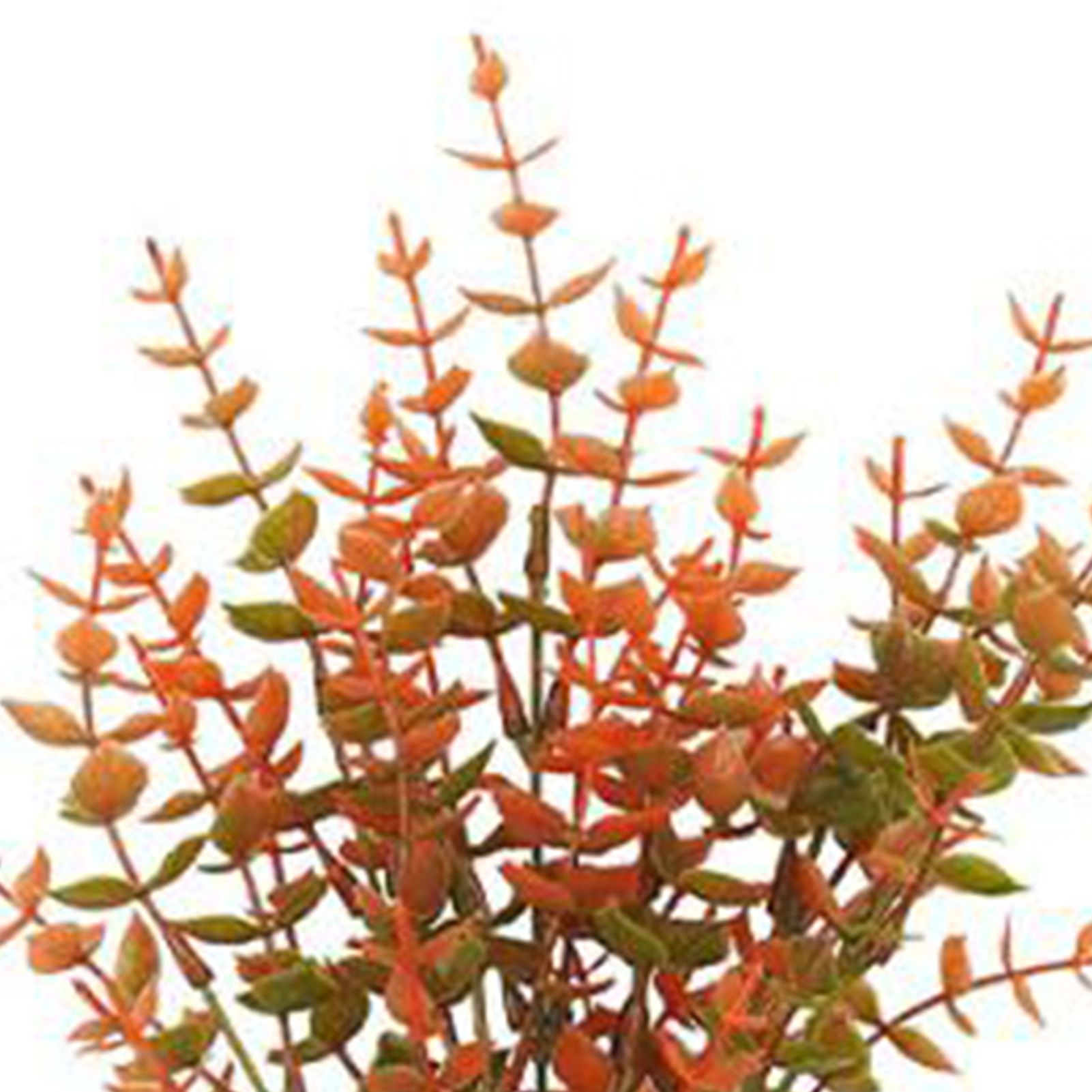 10 Pcs Artificial Fall Eucalyptus Decor 7 Fork Plastic Artificial Eucalyptus view 5