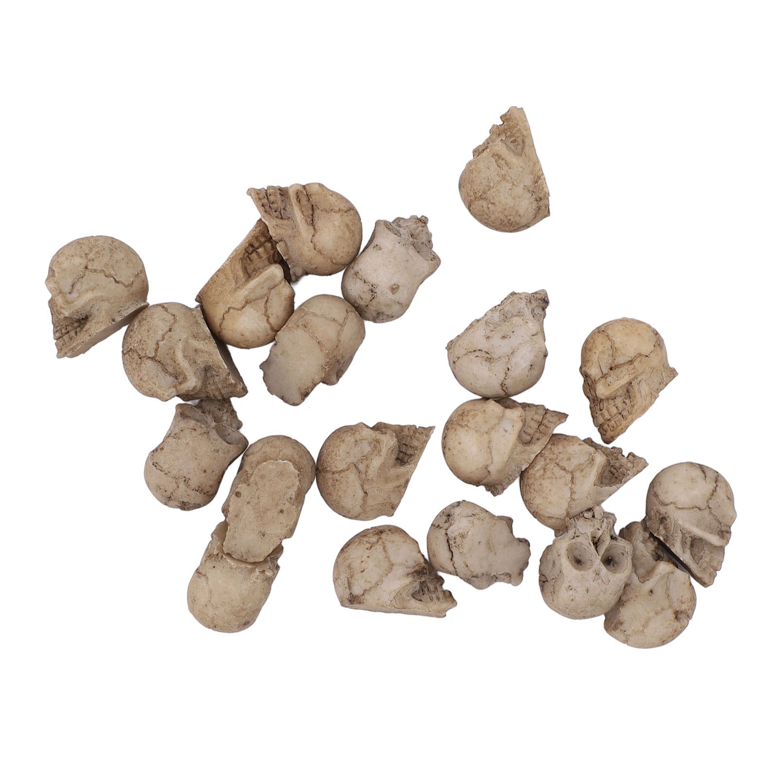 20PCS Miniature Skull Realistic Resin Reusable Miniature Skeleton Head for
