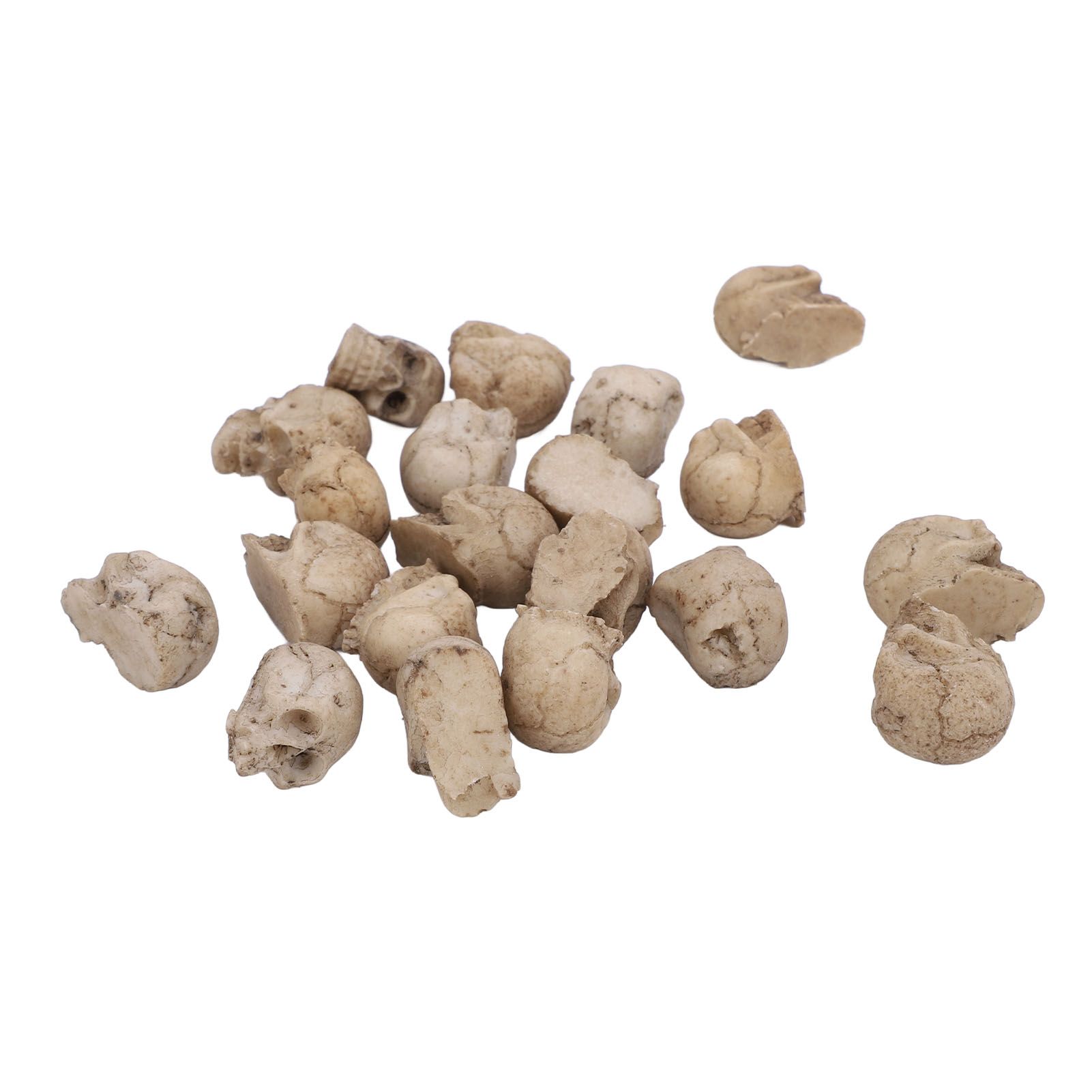 20PCS Miniature Skull Realistic Resin Reusable Miniature Skeleton Head for view 2