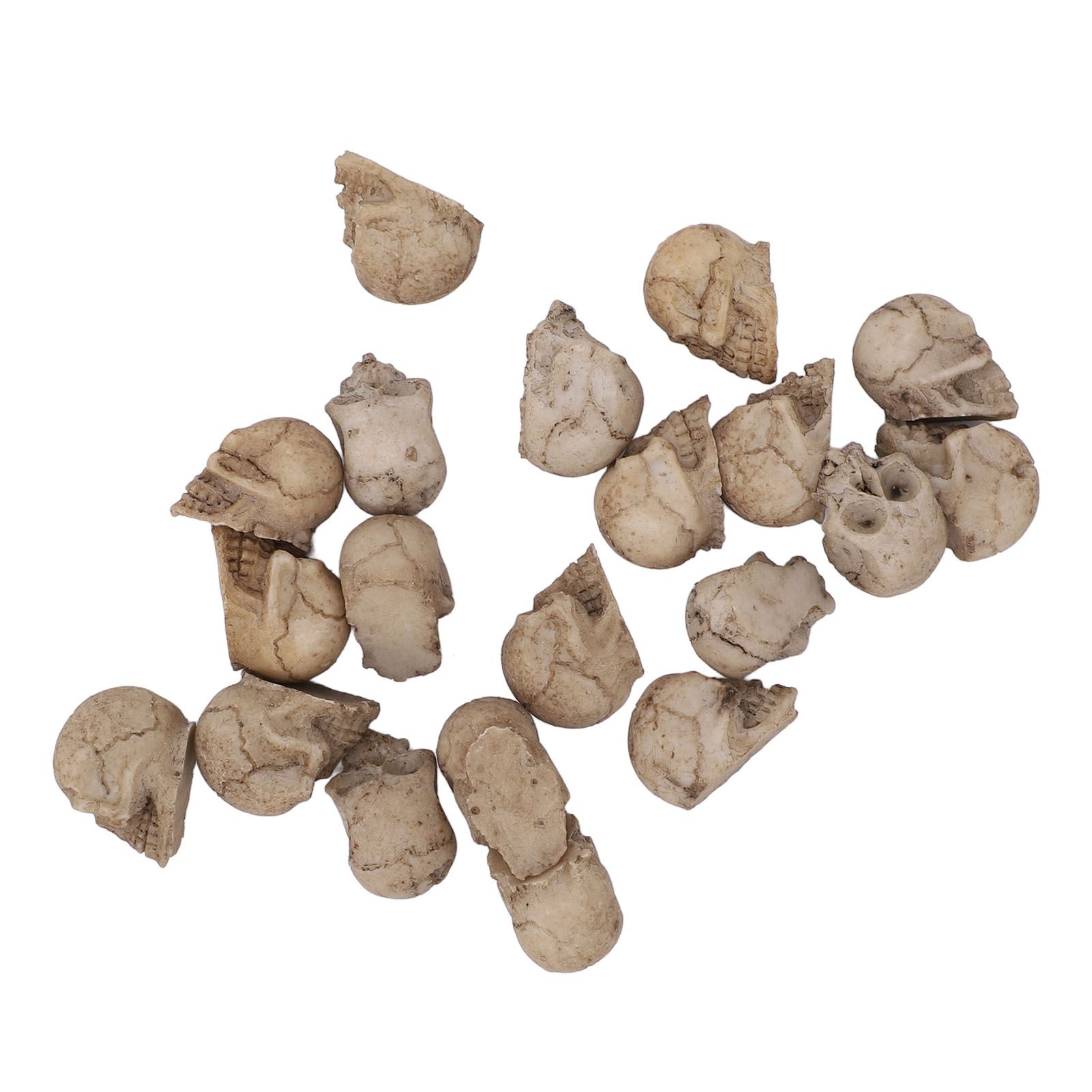 20PCS Miniature Skull Realistic Resin Reusable Miniature Skeleton Head for view 3