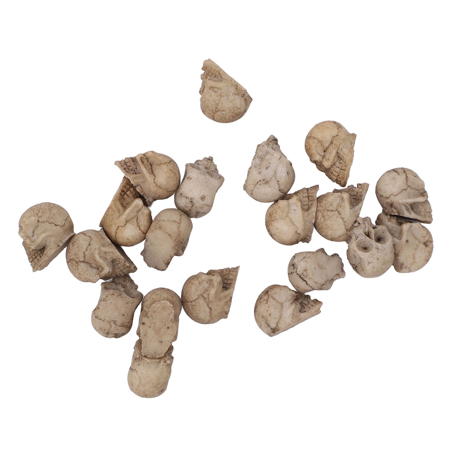 20PCS Miniature Skull Realistic Resin Reusable Miniature Skeleton Head for view 4