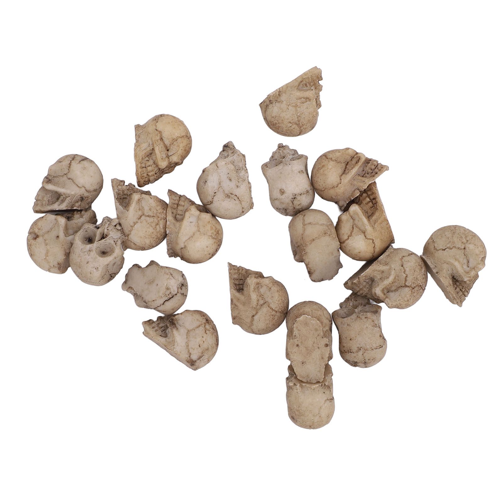 20PCS Miniature Skull Realistic Resin Reusable Miniature Skeleton Head for view 5