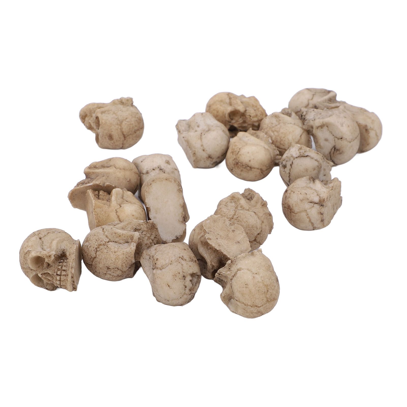 20PCS Miniature Skull Realistic Resin Reusable Miniature Skeleton Head for view 7