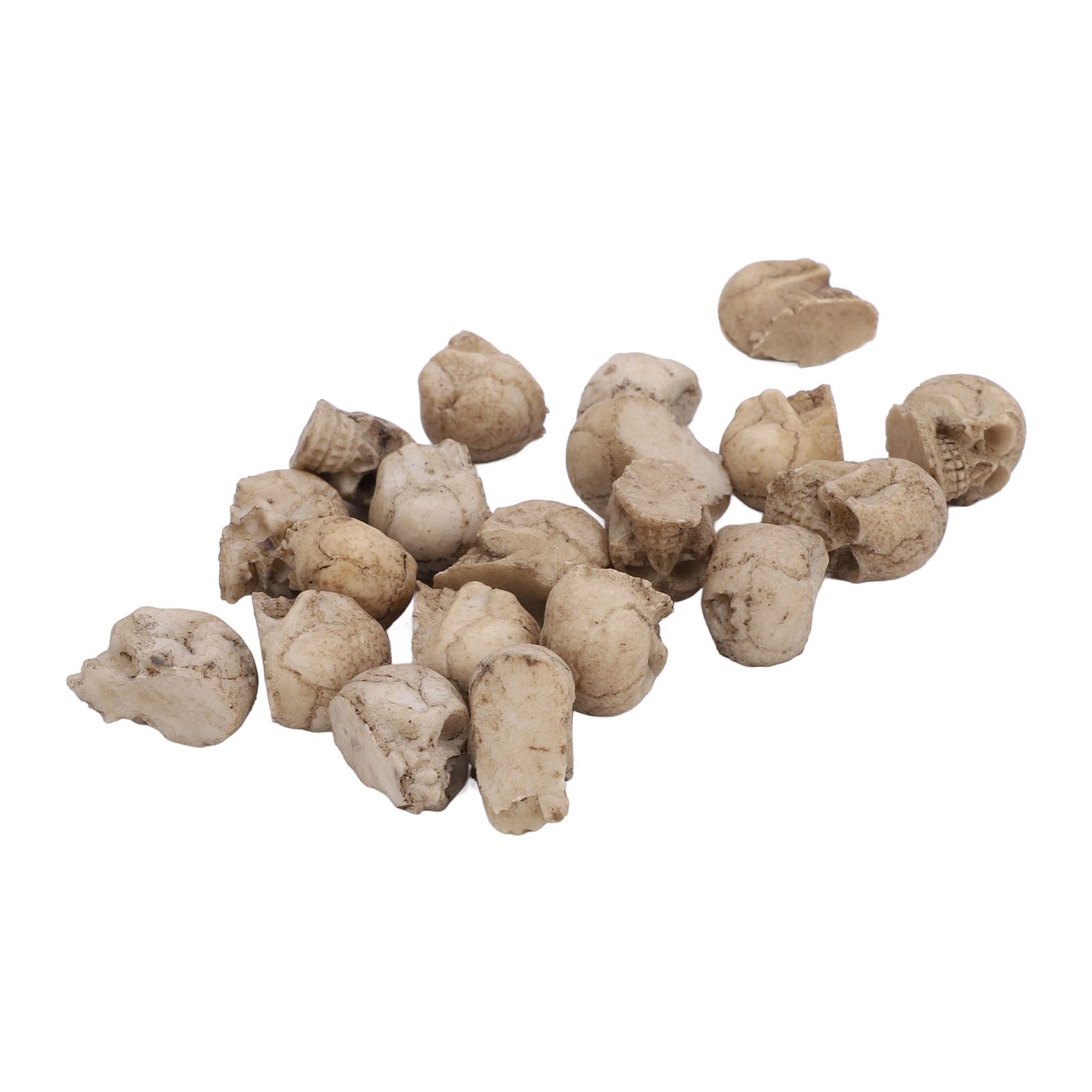 20PCS Miniature Skull Realistic Resin Reusable Miniature Skeleton Head for view 10