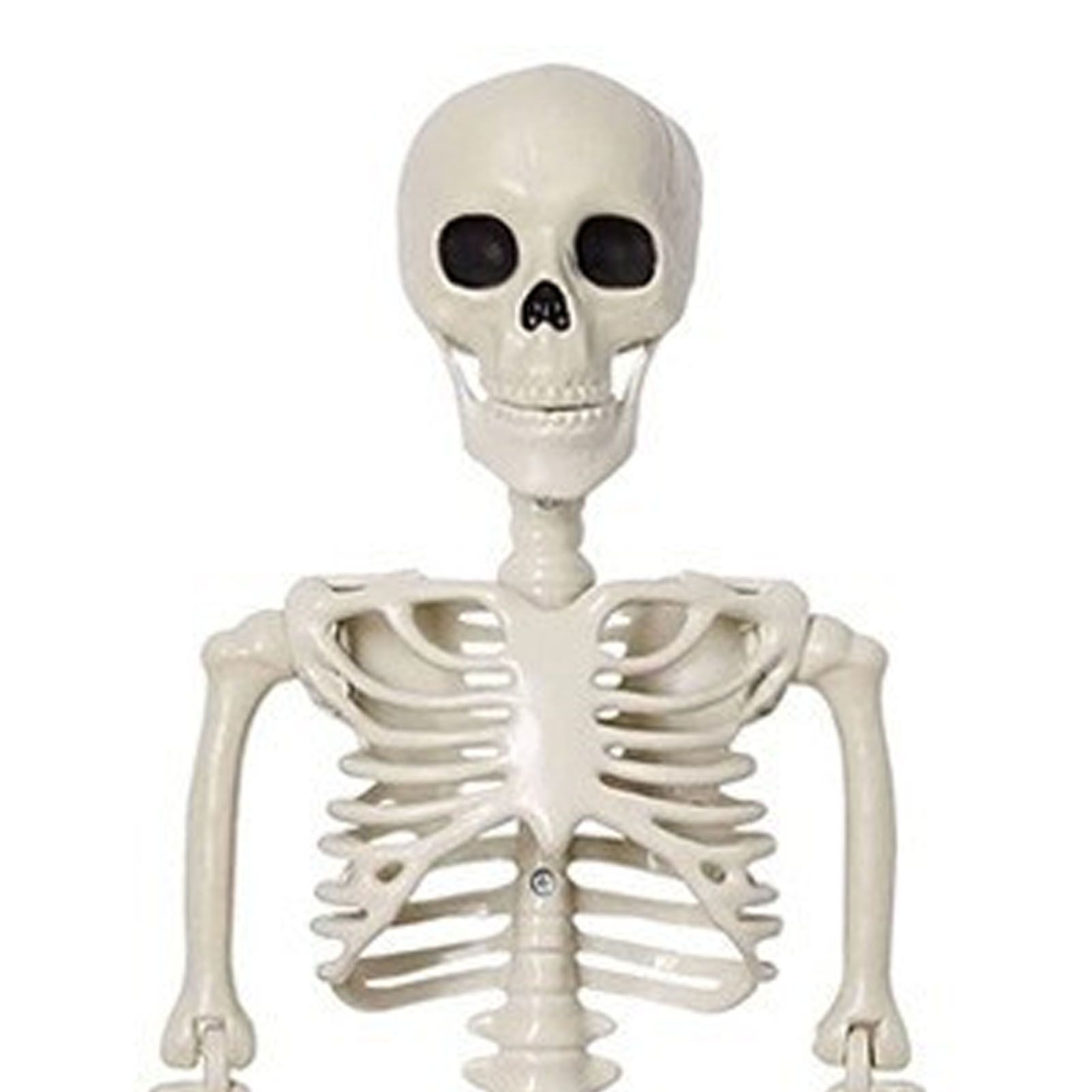 2PCS Skeleton Decorations 35.4 Inch Plastic Posable Spooky Full Body Skeleton view 2