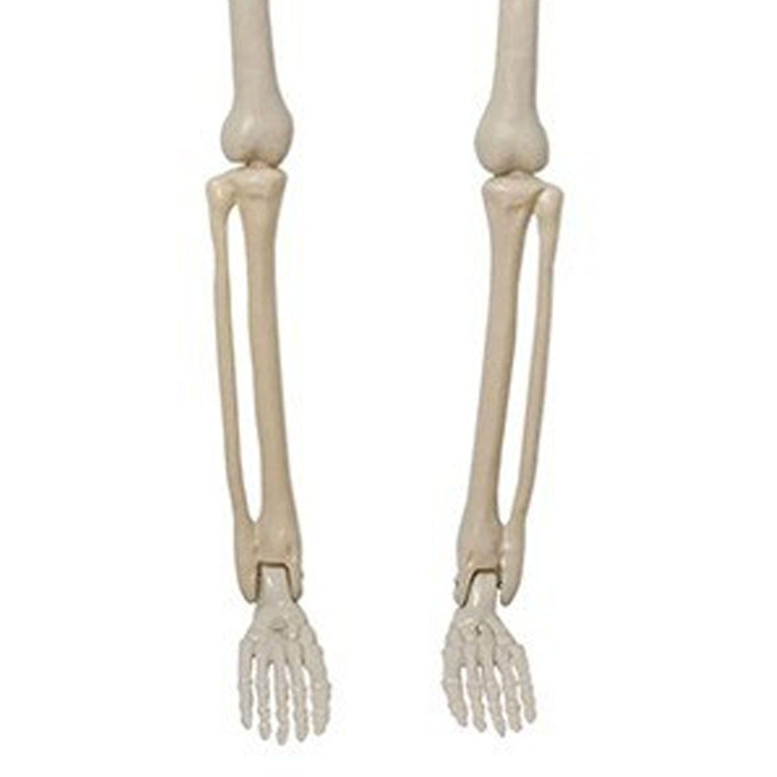 2PCS Skeleton Decorations 35.4 Inch Plastic Posable Spooky Full Body Skeleton view 5