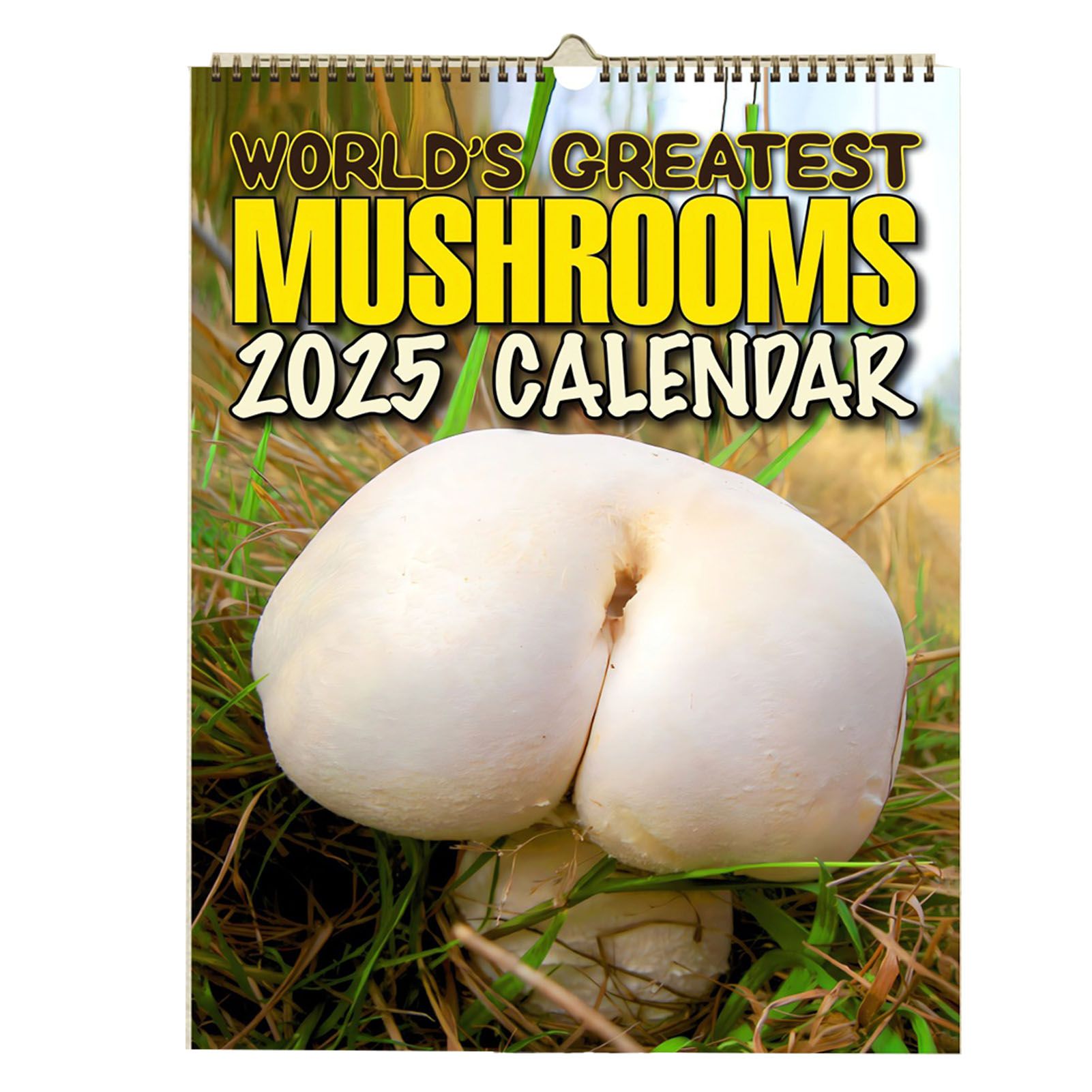 2025 Wall Hanging Calendar Delicate Stylish Wall Calender for Living Room view 3