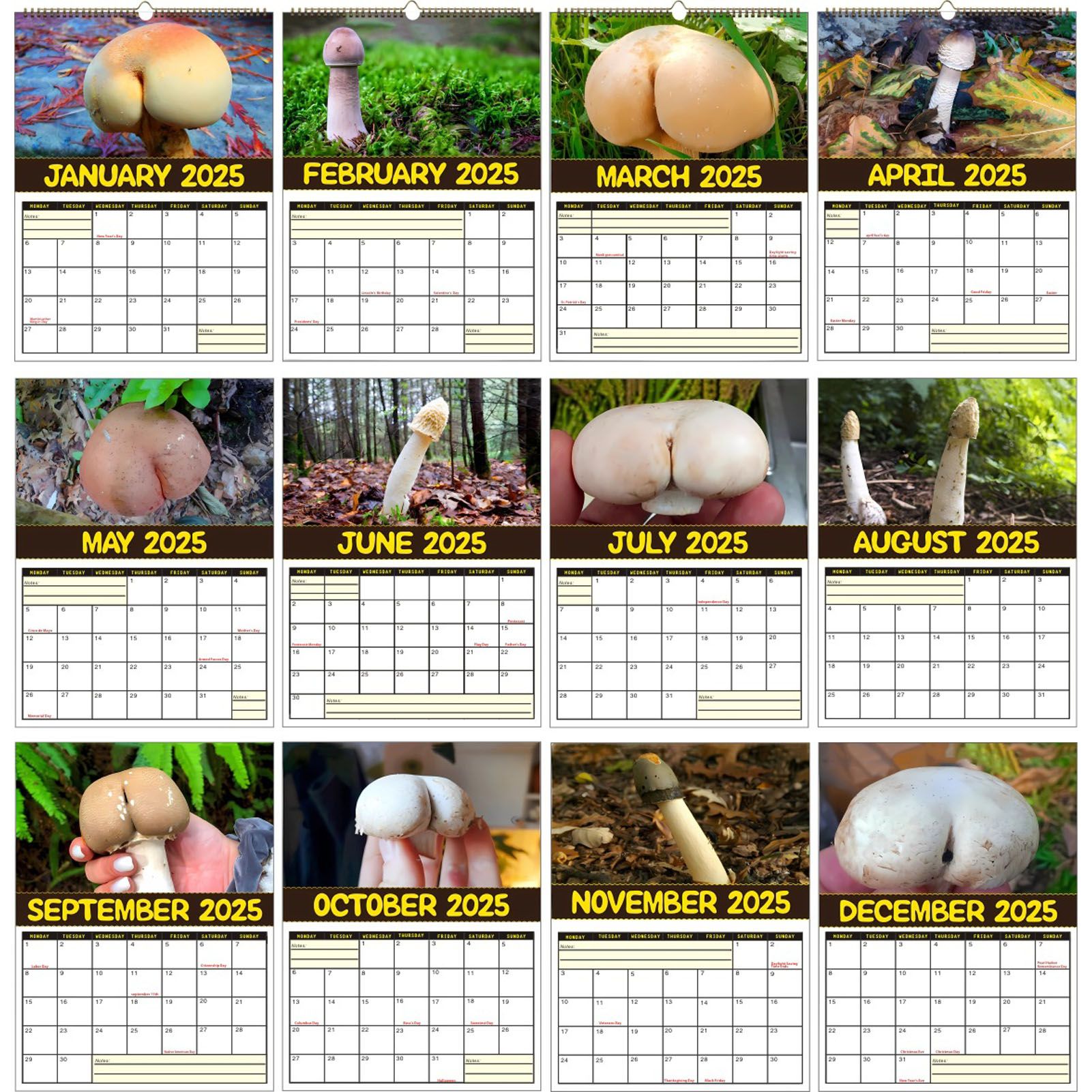 2025 Wall Hanging Calendar Delicate Stylish Wall Calender for Living Room view 9