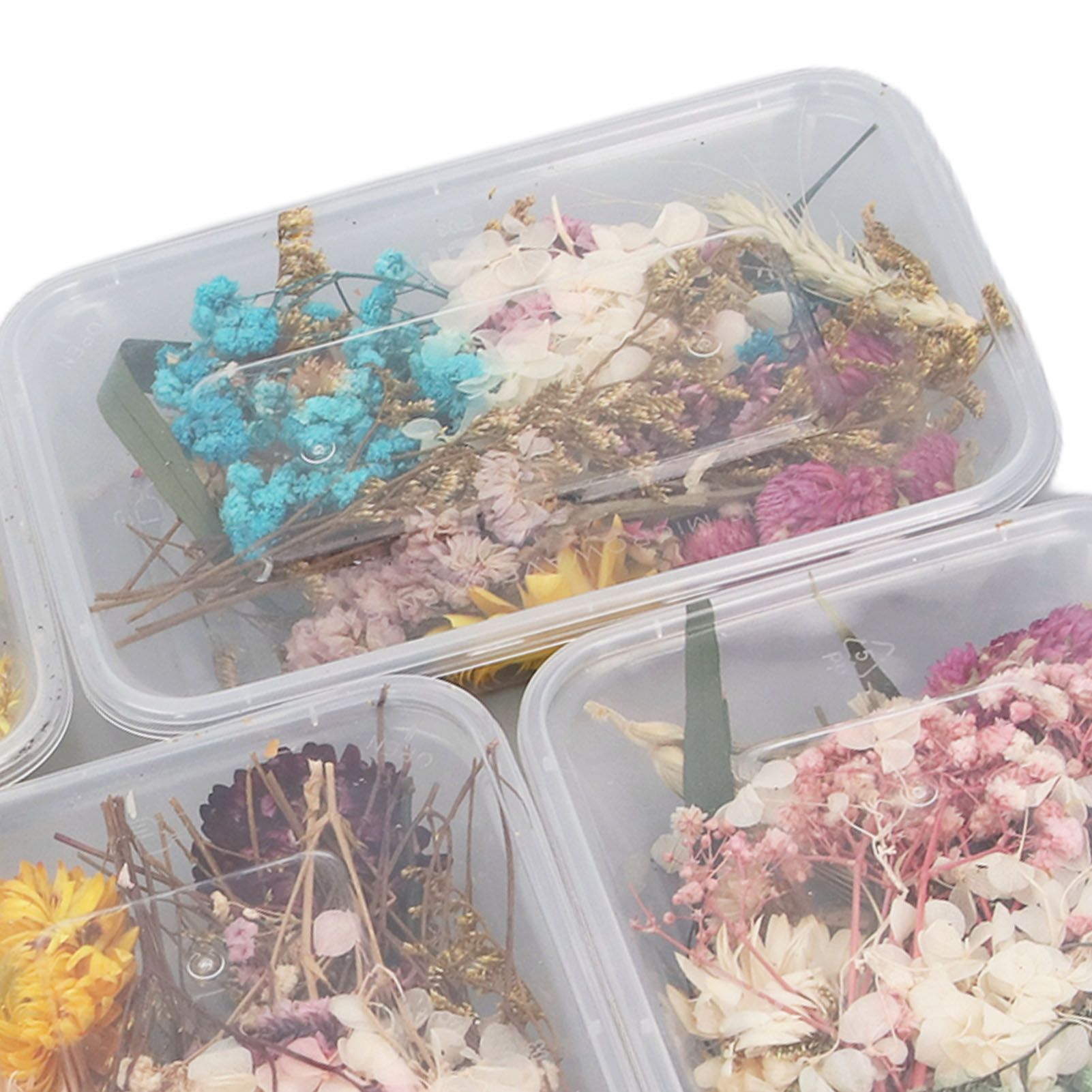 DIY Eternal Flower Craft Kit view 2