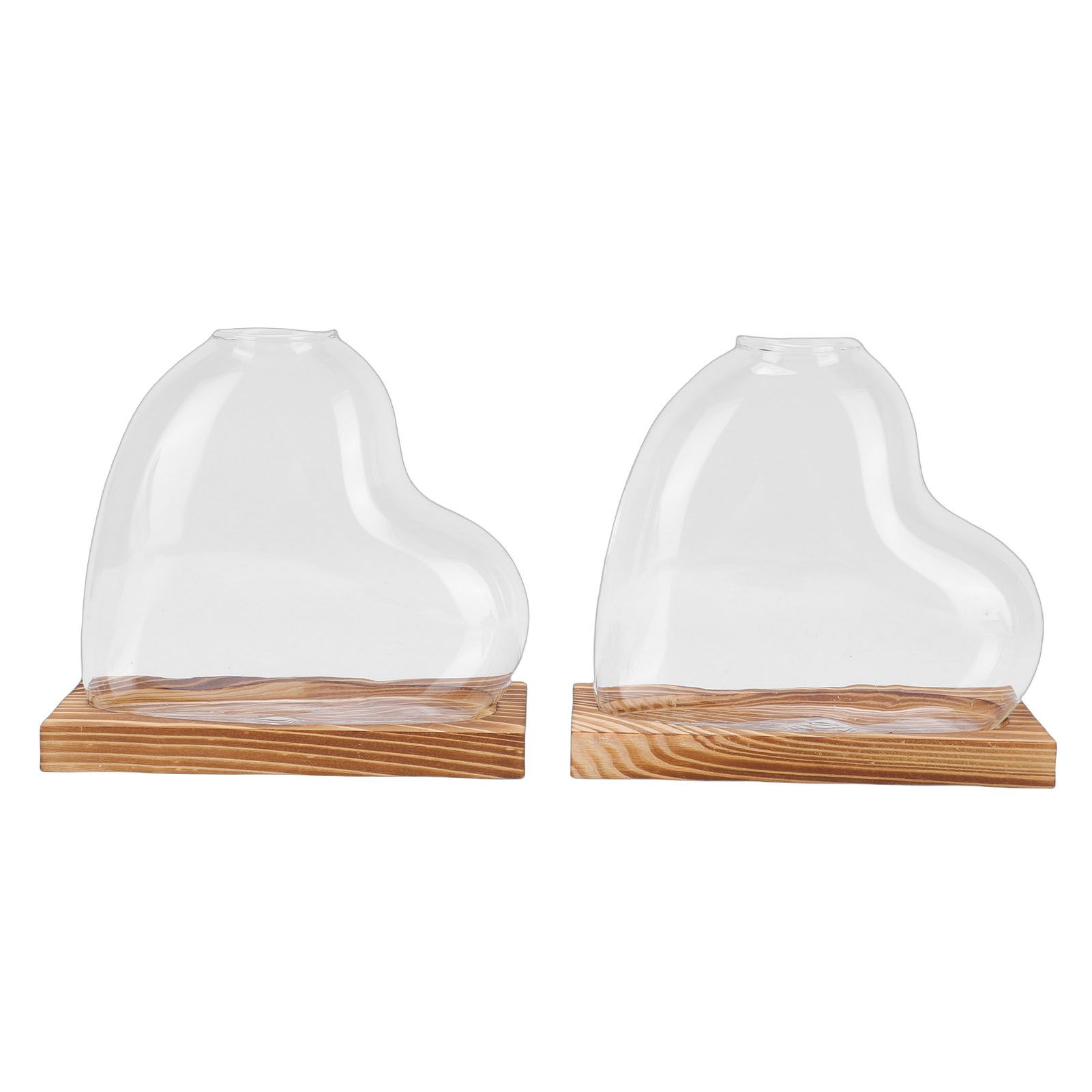 2PCS Propagation Vases Heart Shaped Glass Desktop Planter Plant Propagation view 3
