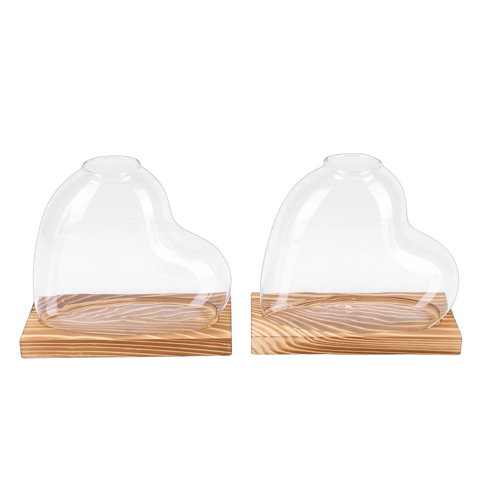 2PCS Propagation Vases Heart Shaped Glass Desktop Planter Plant Propagation view 4