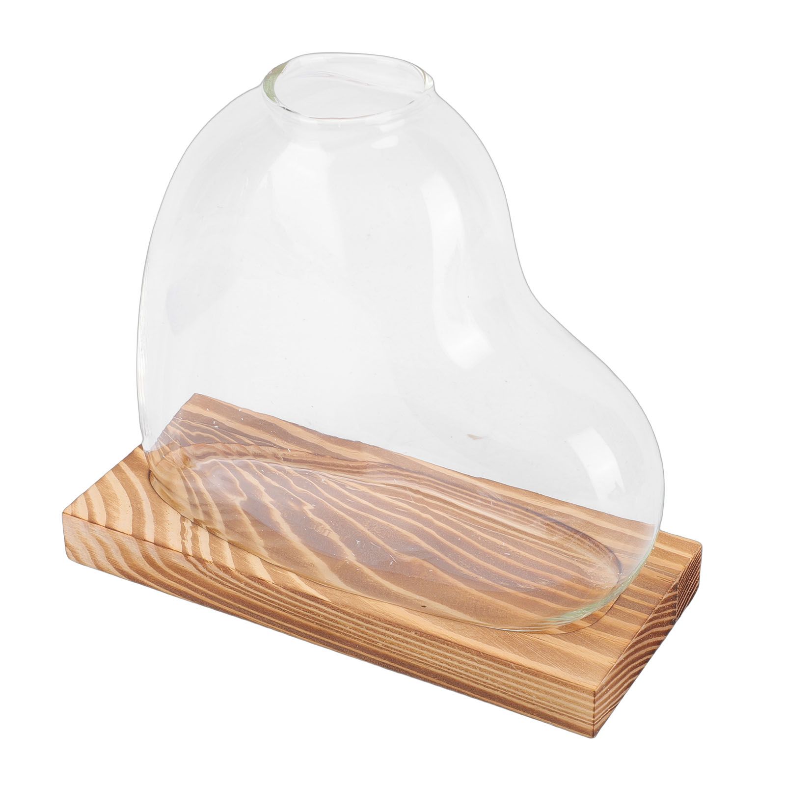 2PCS Propagation Vases Heart Shaped Glass Desktop Planter Plant Propagation view 7