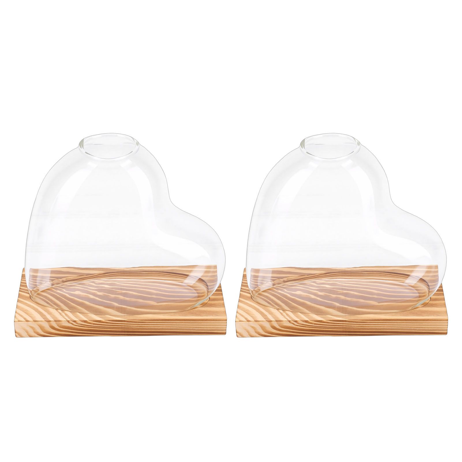 2PCS Propagation Vases Heart Shaped Glass Desktop Planter Plant Propagation view 10