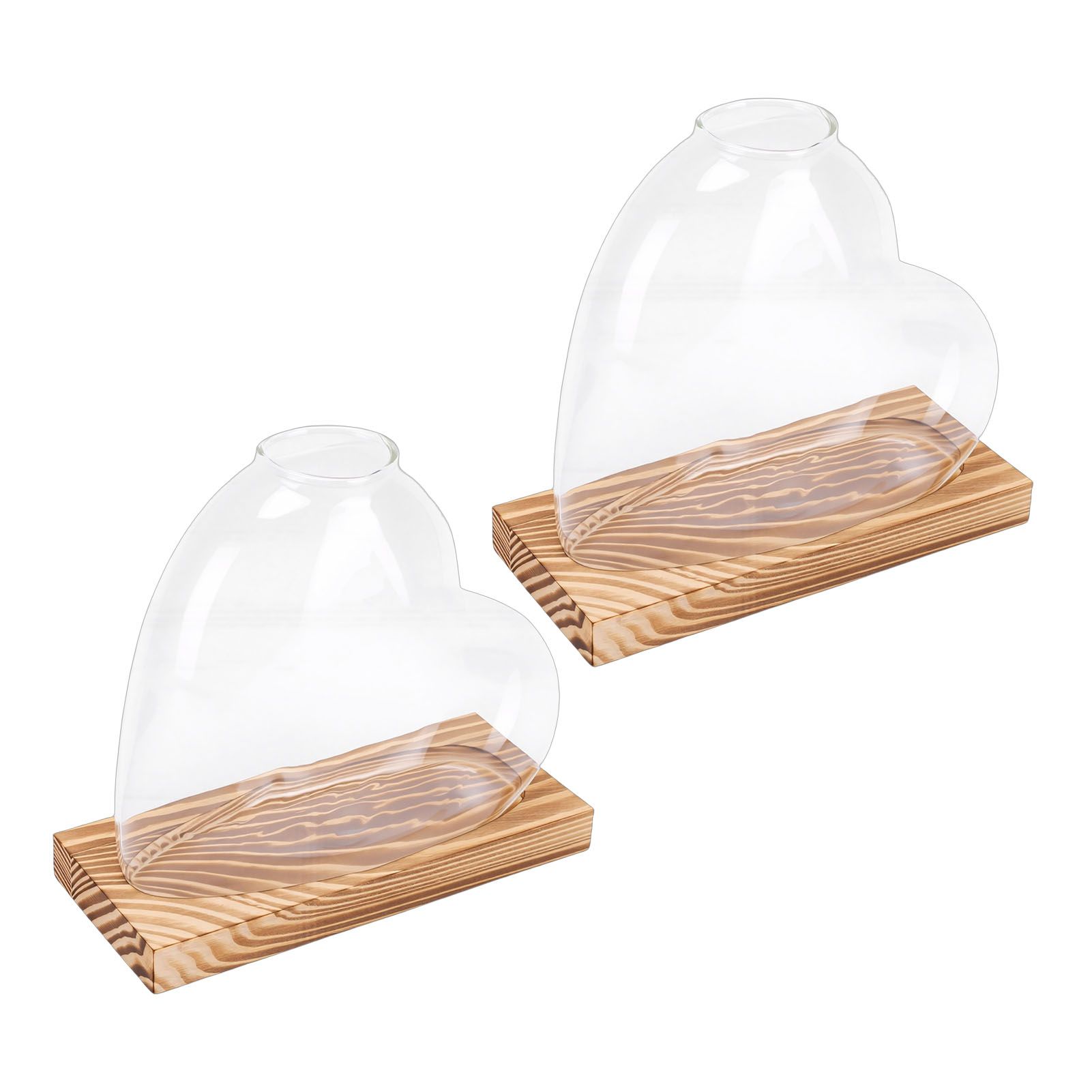 2PCS Propagation Vases Heart Shaped Glass Desktop Planter Plant Propagation view 11