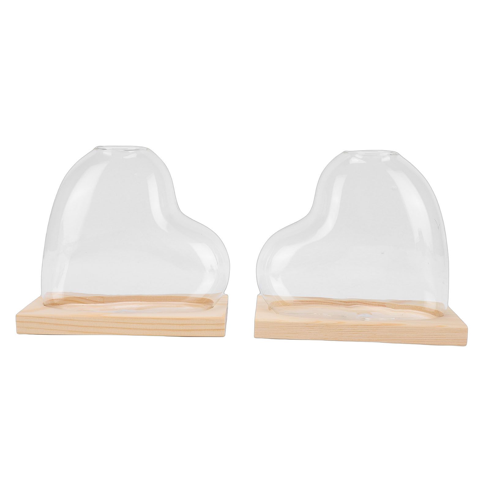 2PCS Propagation Vases Heart Shaped Glass Desktop Planter Plant Propagation view 3