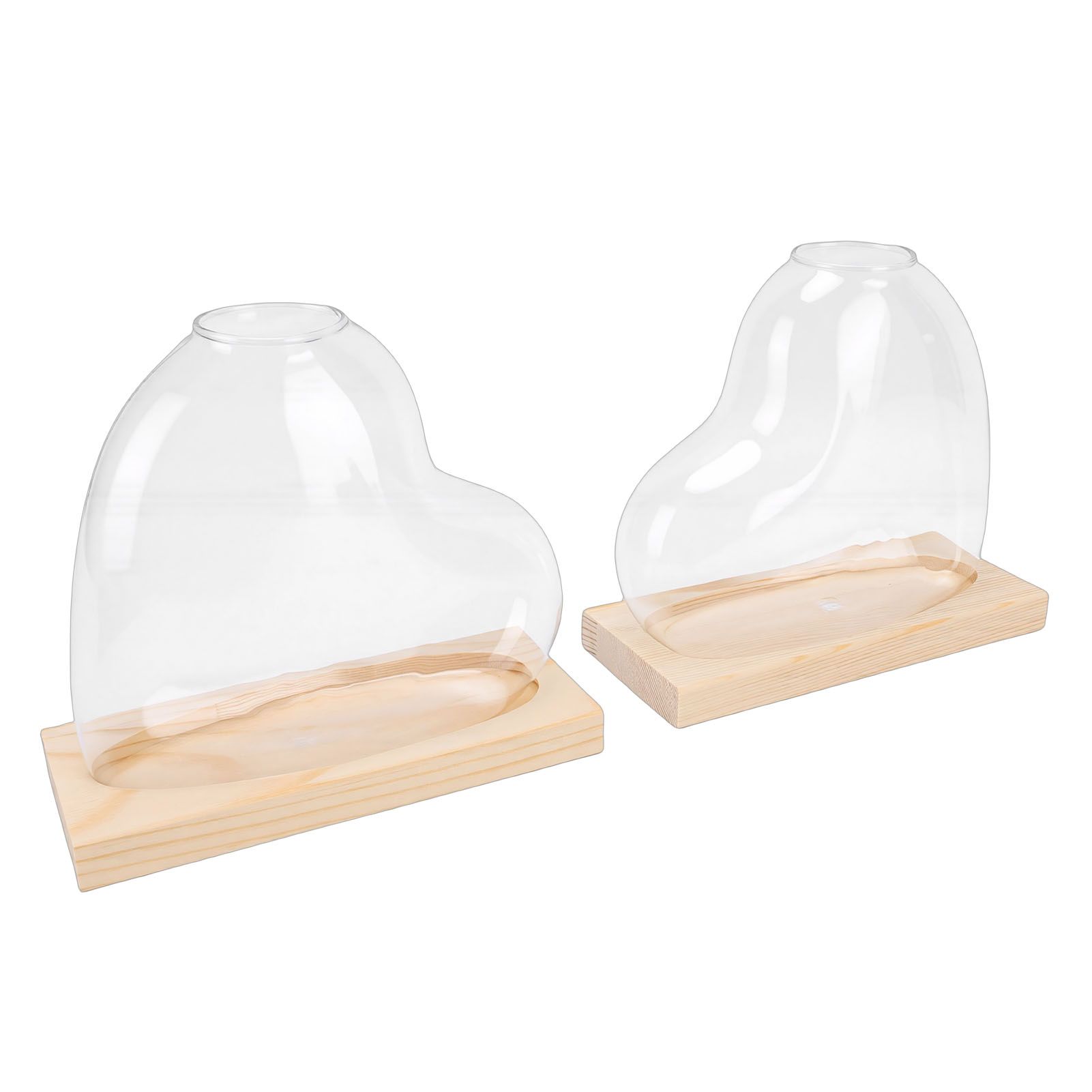 2PCS Propagation Vases Heart Shaped Glass Desktop Planter Plant Propagation view 4